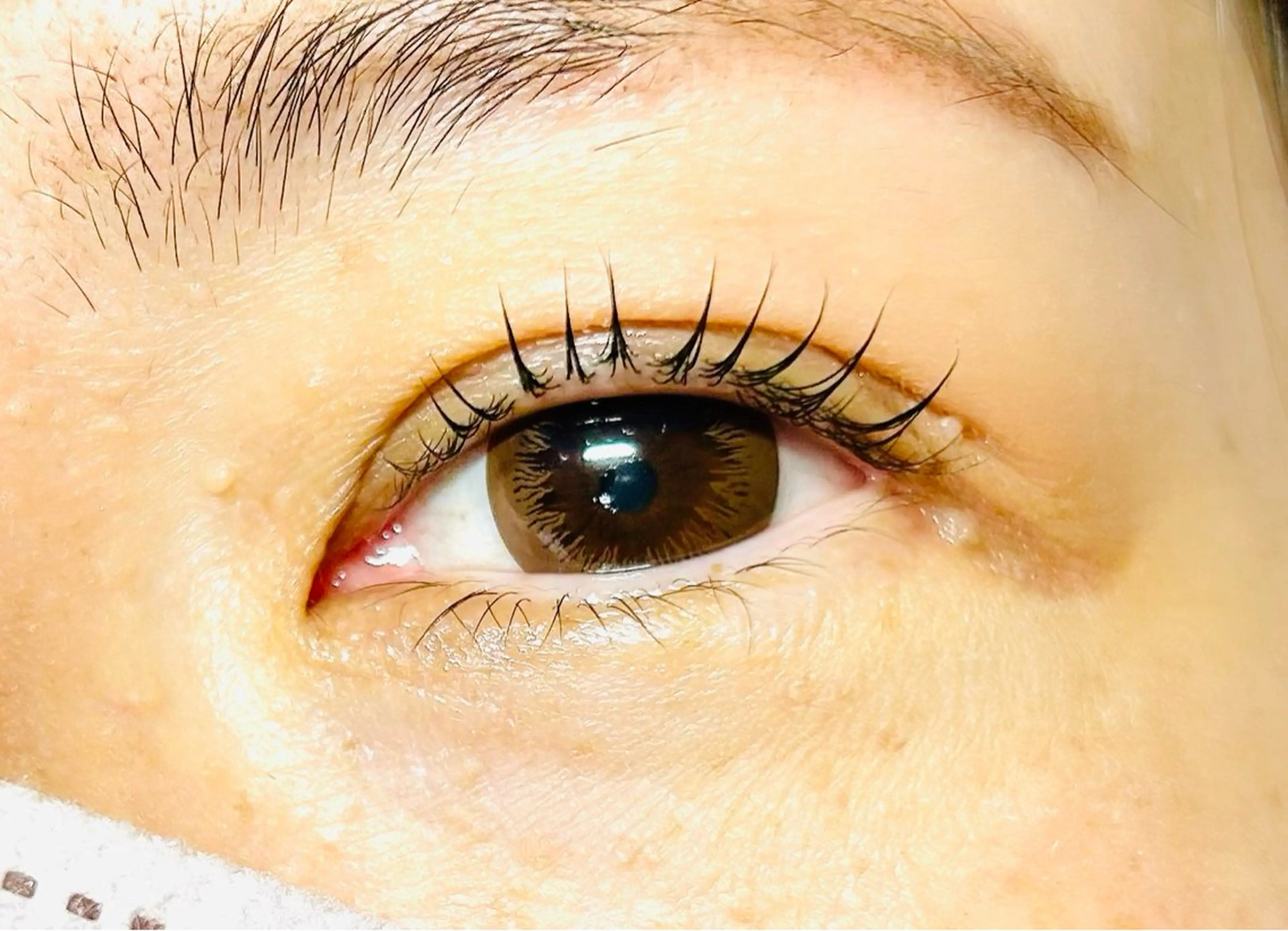 マツエク・マツパ サルサグレイス木更津 クボタのその他イメージ