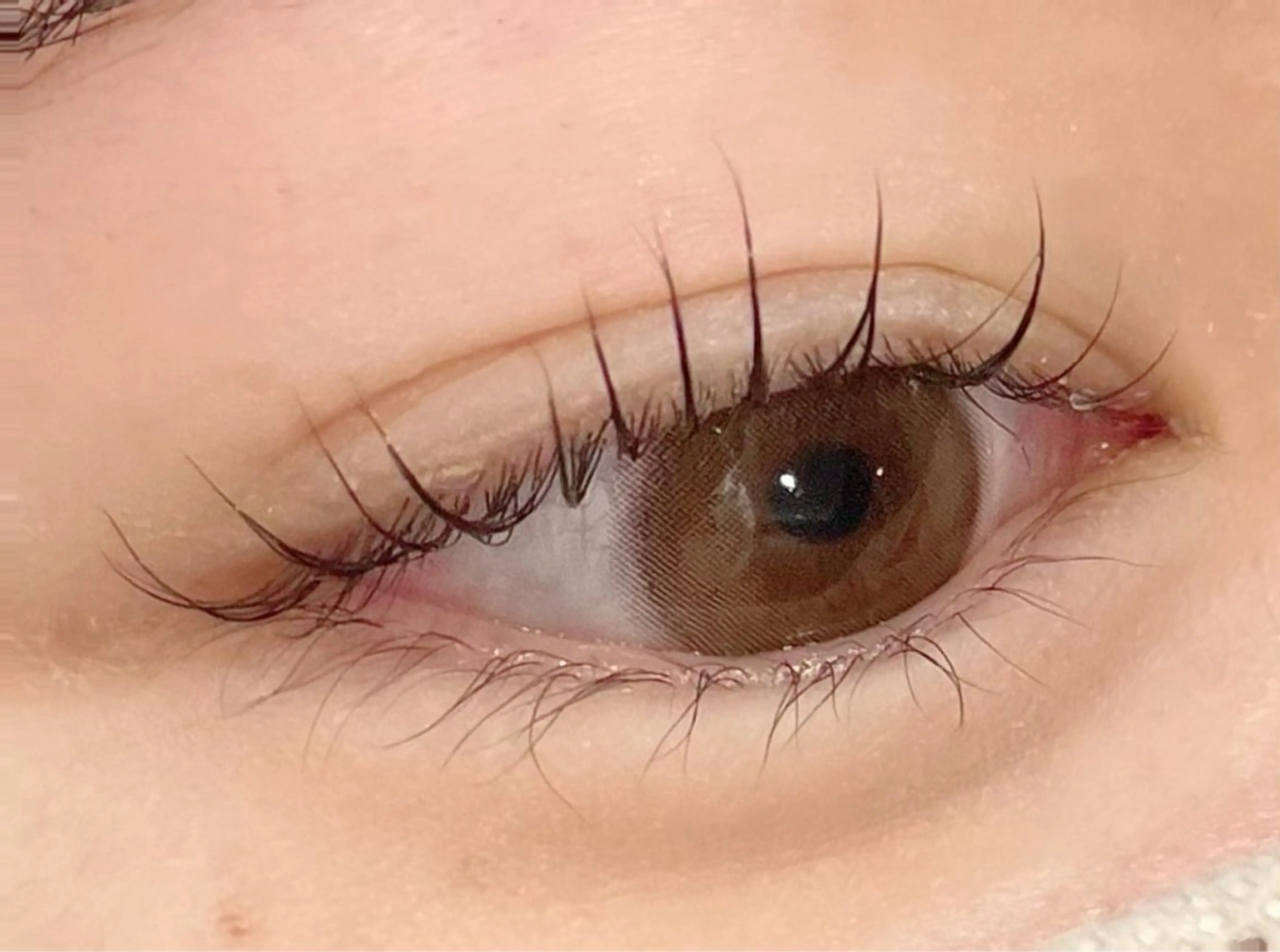 マツエク・マツパ マツパ Carina所属・🦋Carina荻窪 kazumi🦋のマツエク・マツパデザイン