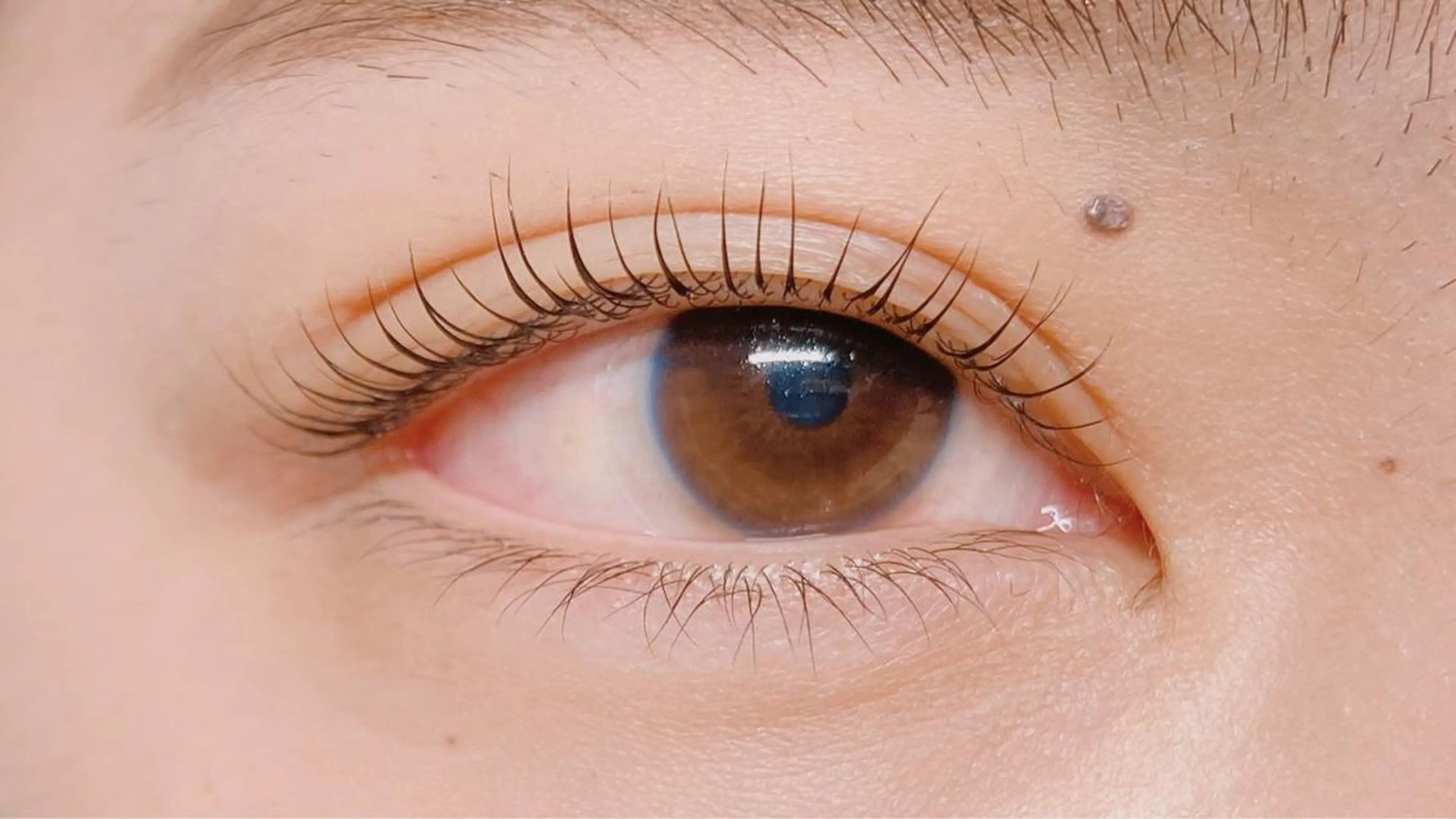 マツエク・マツパ little honey所属・airi .uのマツエク・マツパデザイン