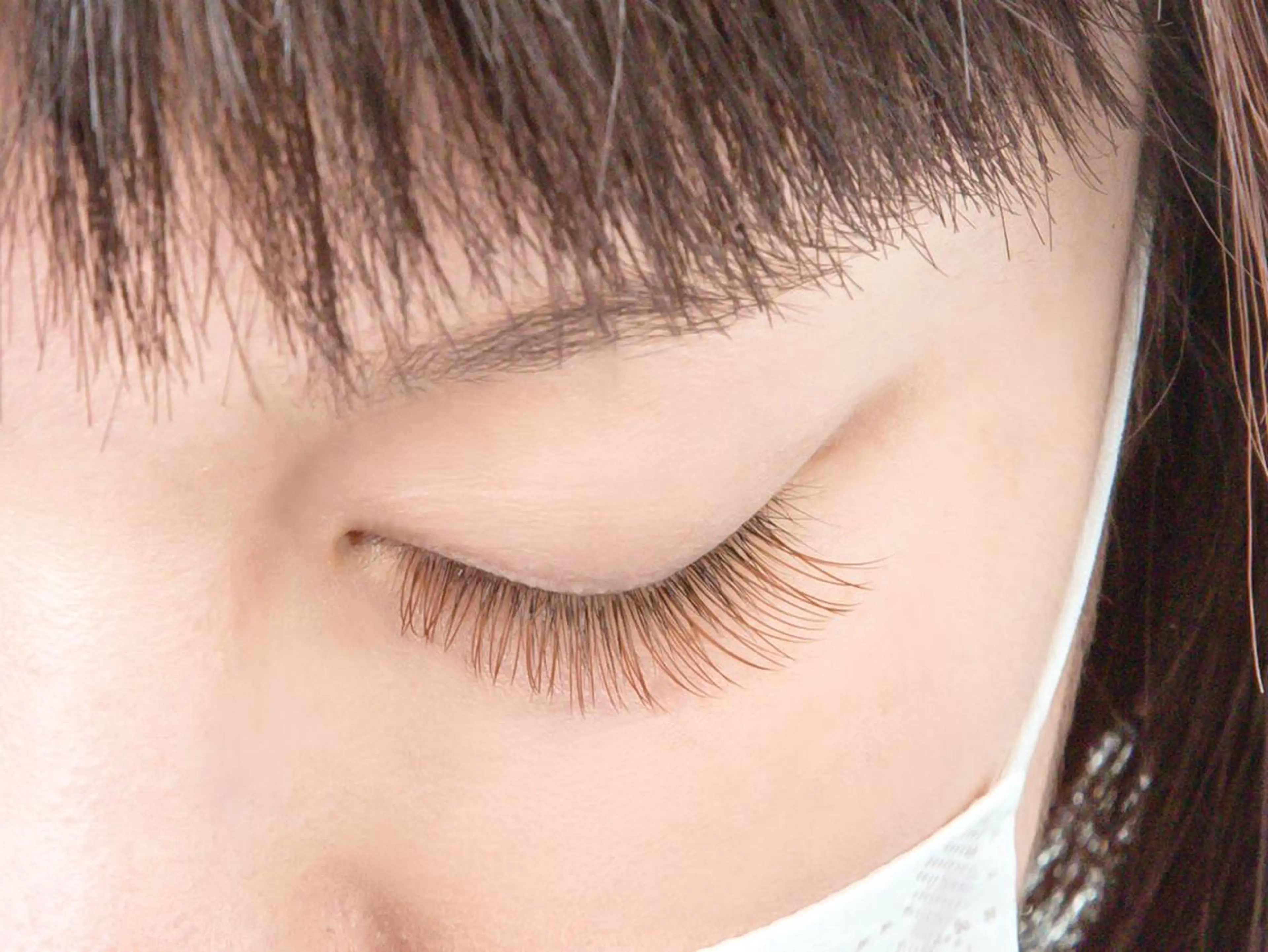 ブラウンラッシュ120本の写真