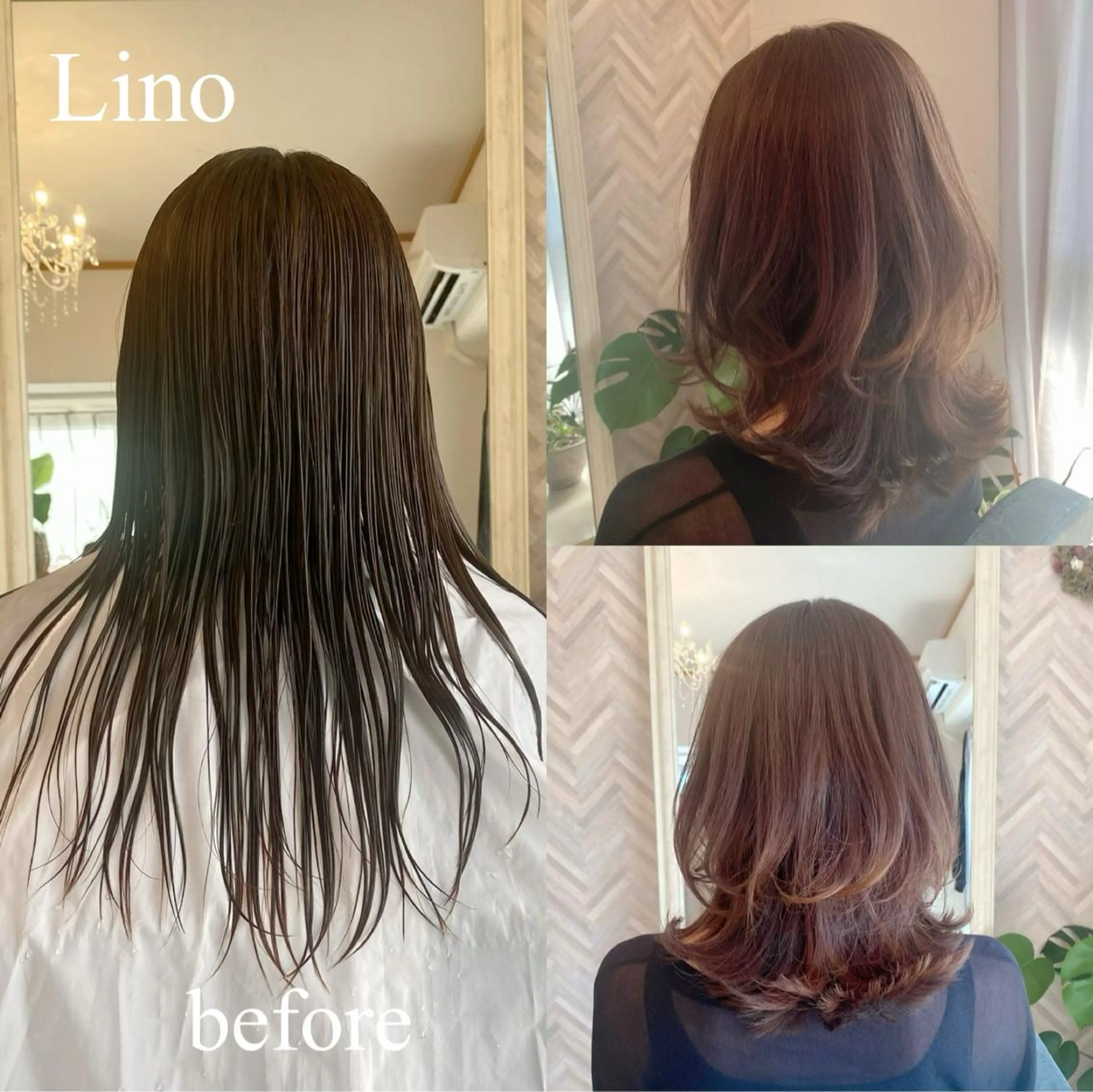 セミロング Lino所属・戸川 浩子のヘアスタイル
