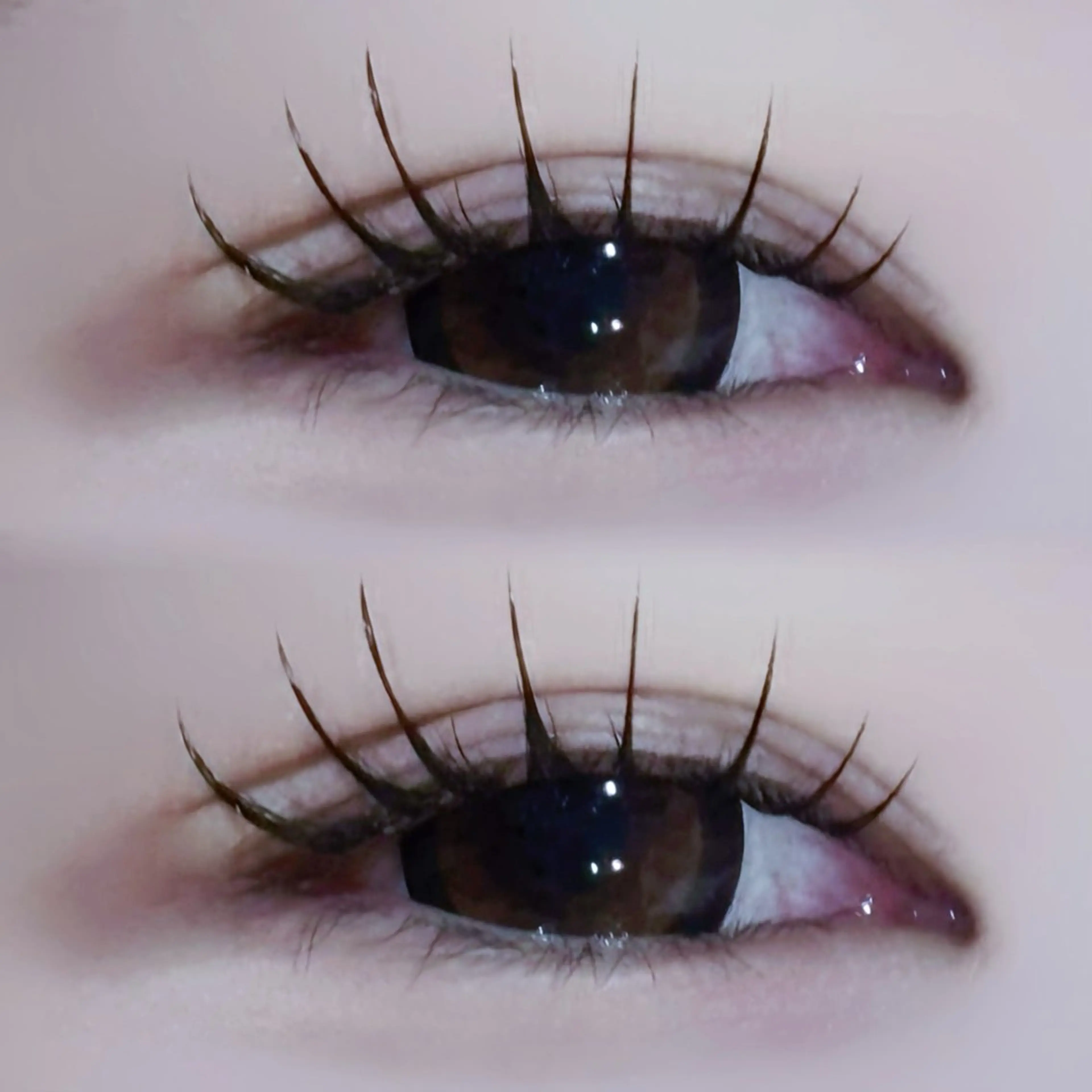 マツエク・マツパ EYELA🤍 蓜島のマツエク・マツパデザイン