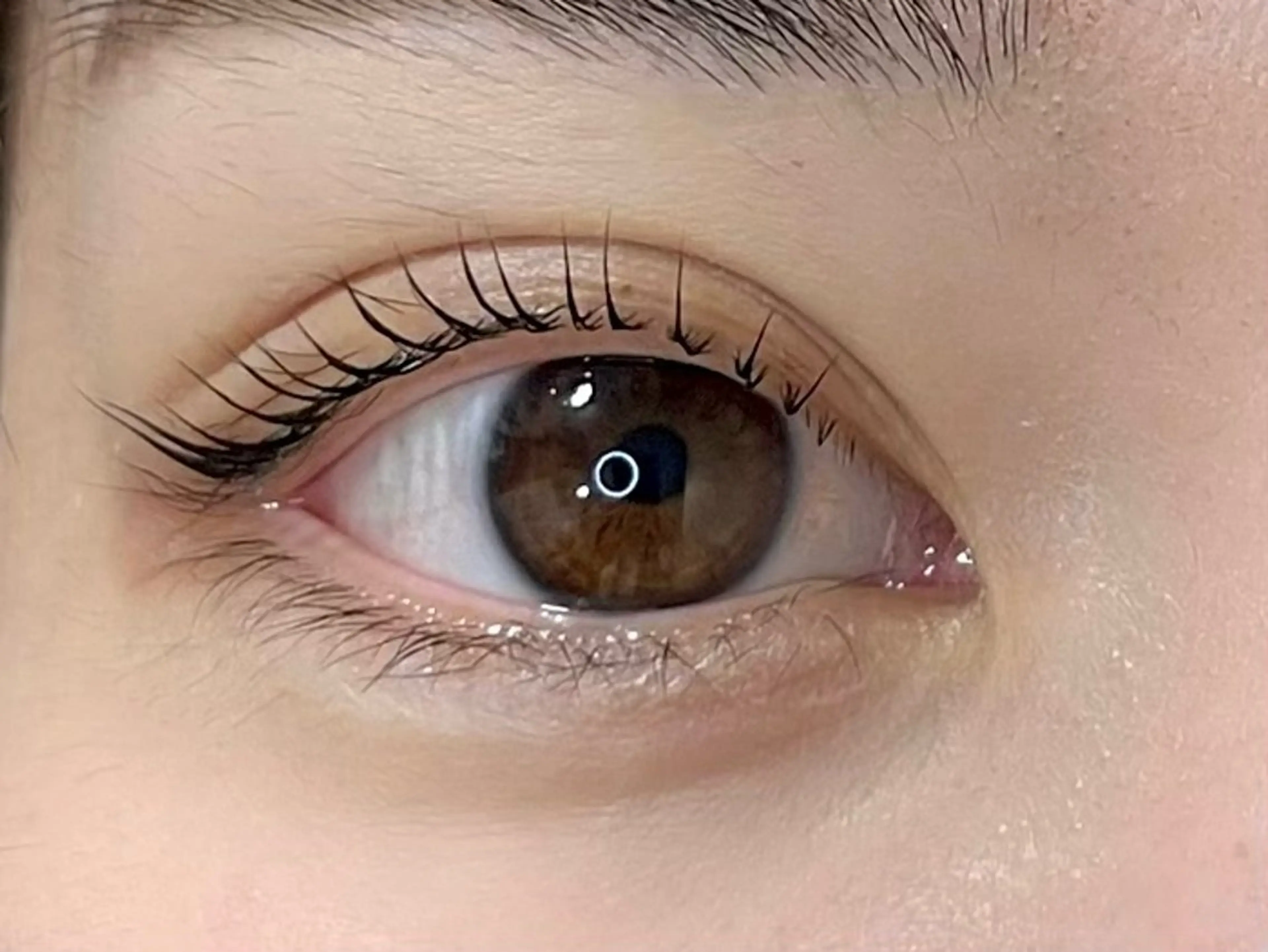 マツエク・マツパ ケラチンラッシュリフト 一重×まつ毛パーマ Defi《デフィ》 仙台のマツエク・マツパデザイン