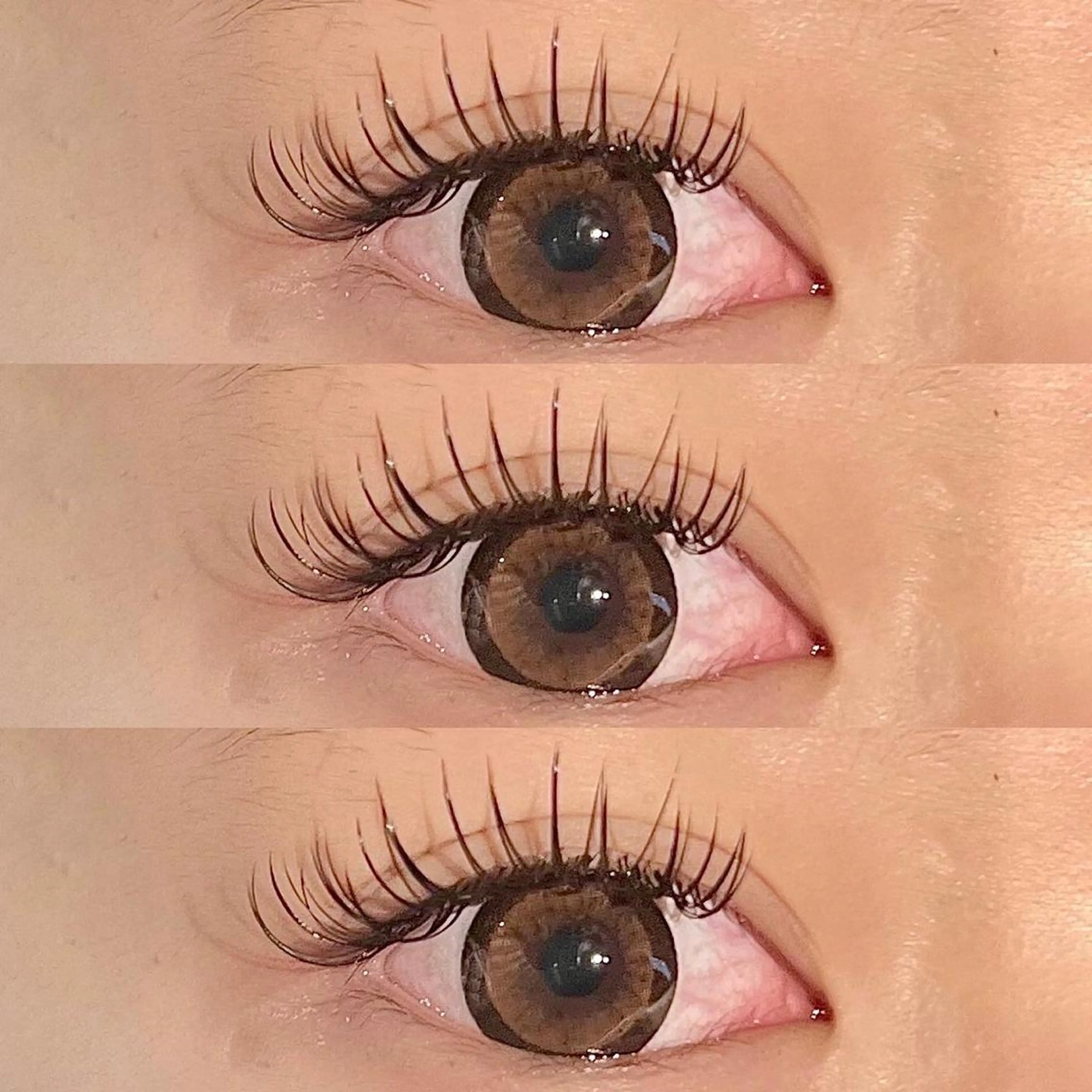 フラットマットラッシュ１４０本🪐 【 期間限定価格🪄 】持ち，つけ心地最高◎コーティング剤付の写真