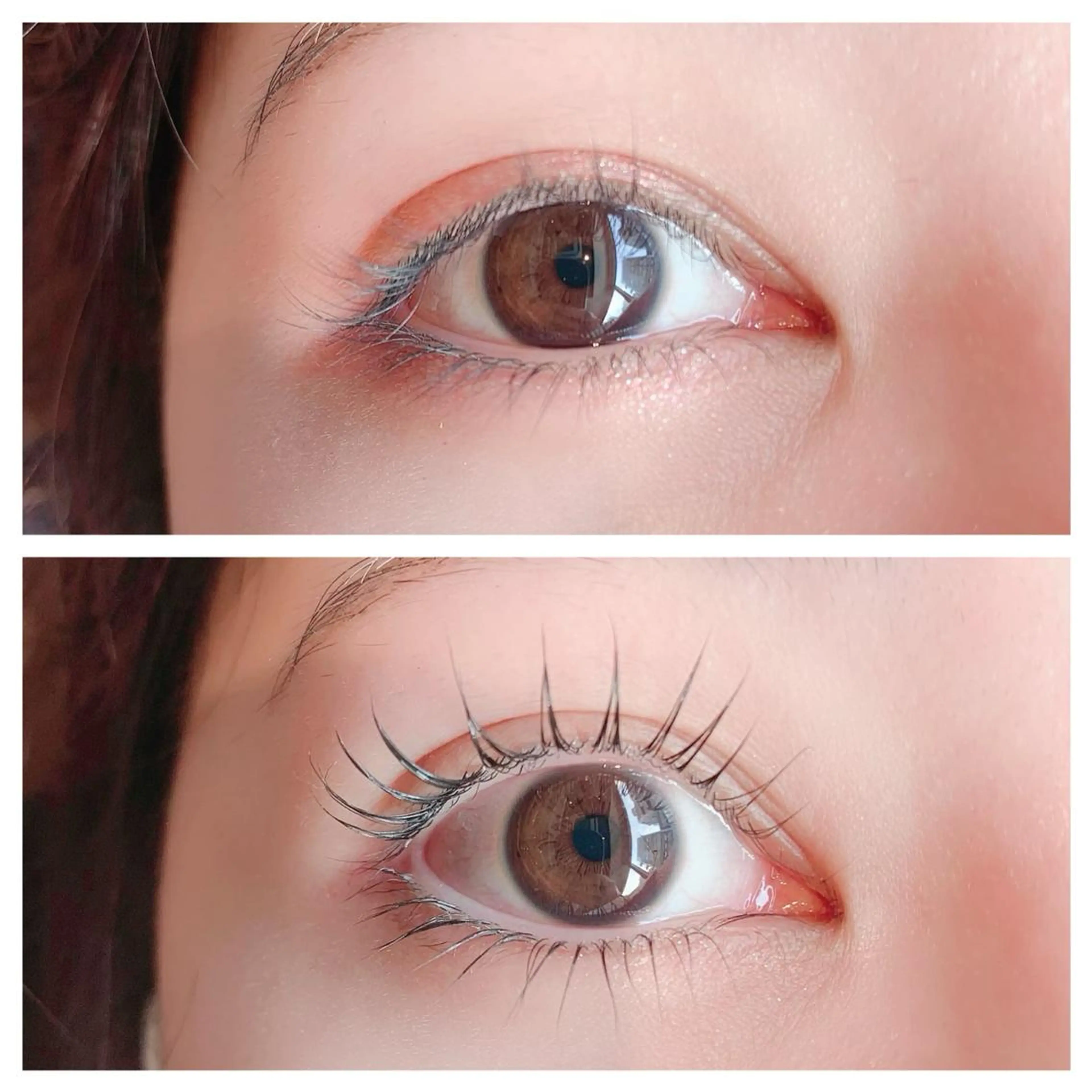 🦋12月平日限定クーポン🦋上下パリジェンヌラッシュリフト5500円※掲載日・初回限定のクーポンですの写真