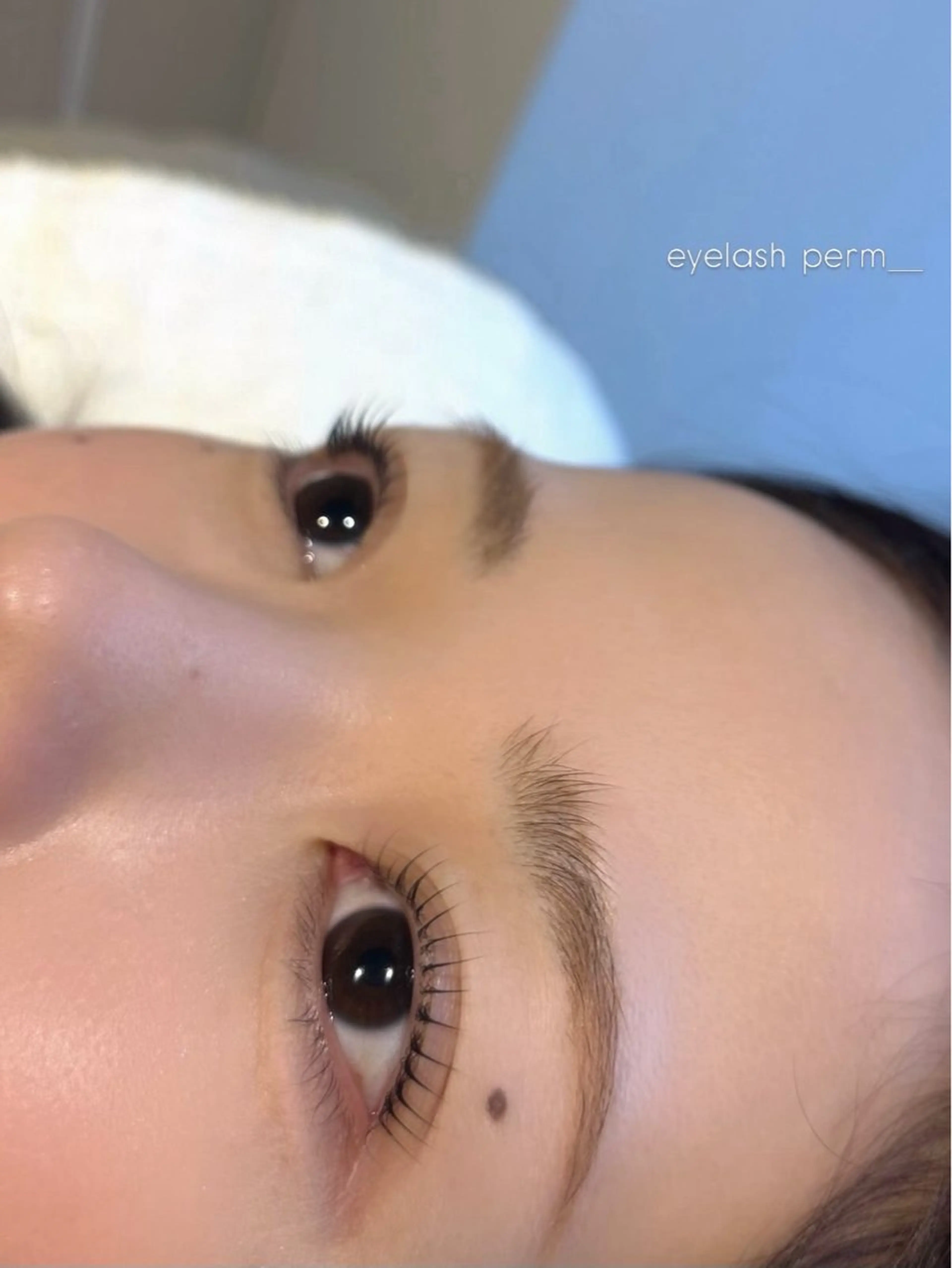 マツエク・マツパ IOLE所属・IOLE   恵比寿 shiinoのマツエク・マツパデザイン