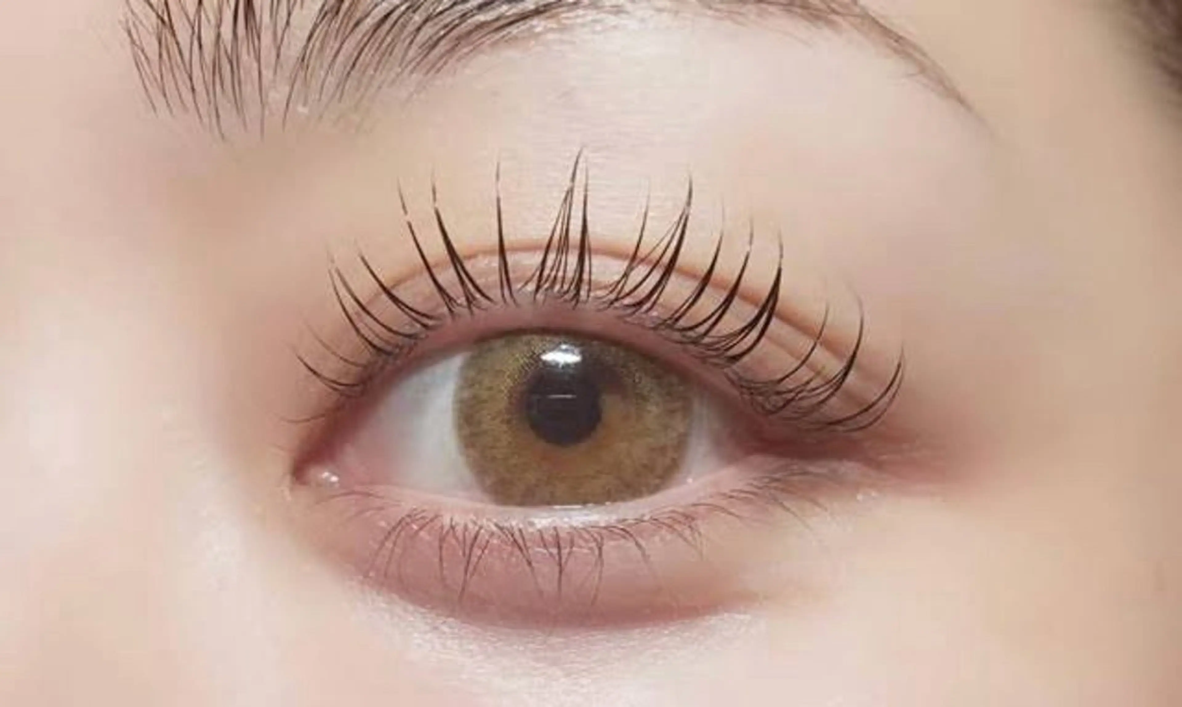 マツエク・マツパ 一重×まつ毛パーマ まつ毛サロンEyesha所属・🌿‬まつ毛サロン Eyesha🌿のマツエク・マツパデザイン