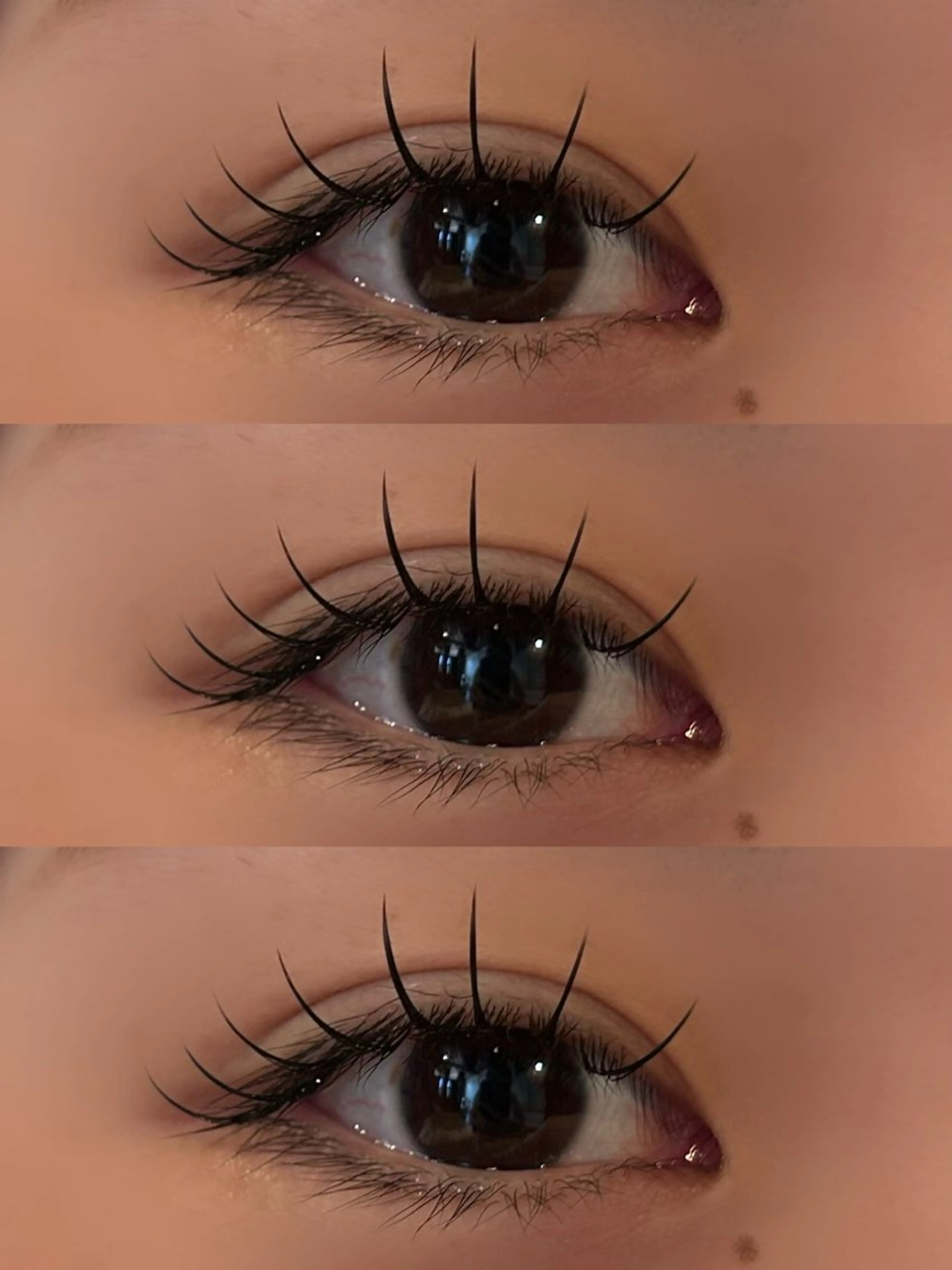 マツエク・マツパ LOCUS   NAIL所属・【LOCUS】 aya.のマツエク・マツパデザイン