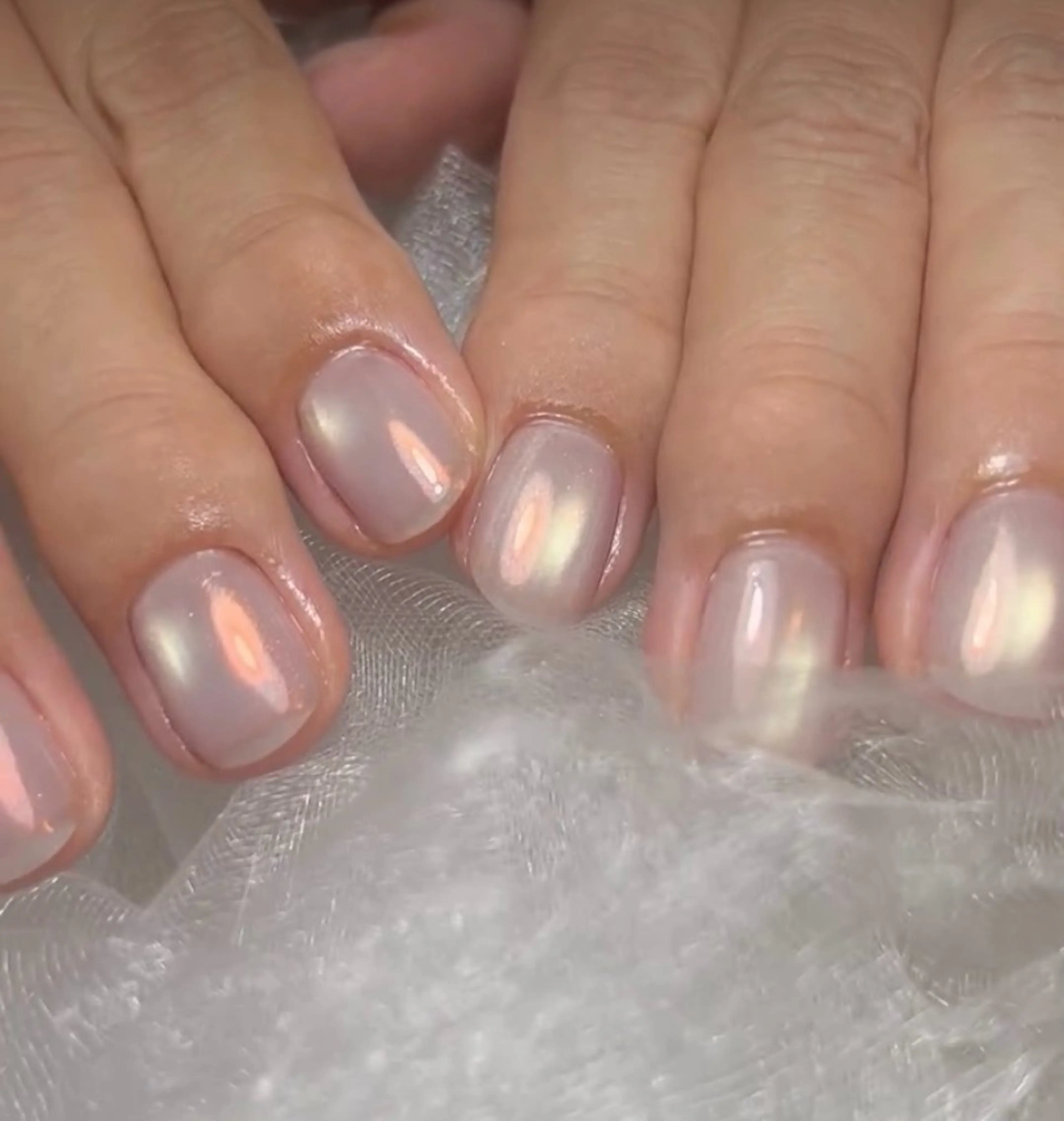 ネイル ハンドネイル Toujours nail所属・Toujours / nijinaのネイルデザイン