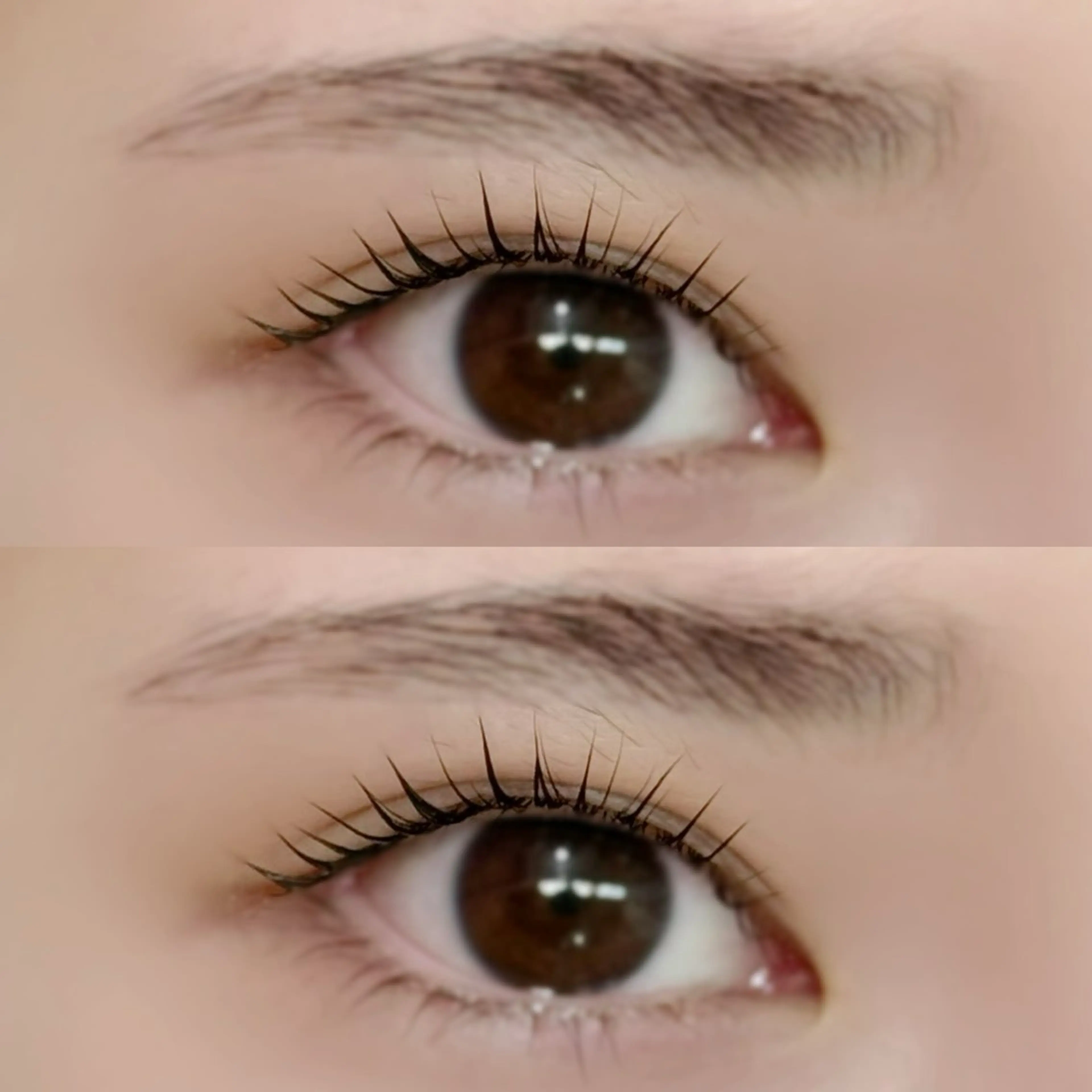 マツエク・マツパ crevia所属・Crevia Chieのマツエク・マツパデザイン