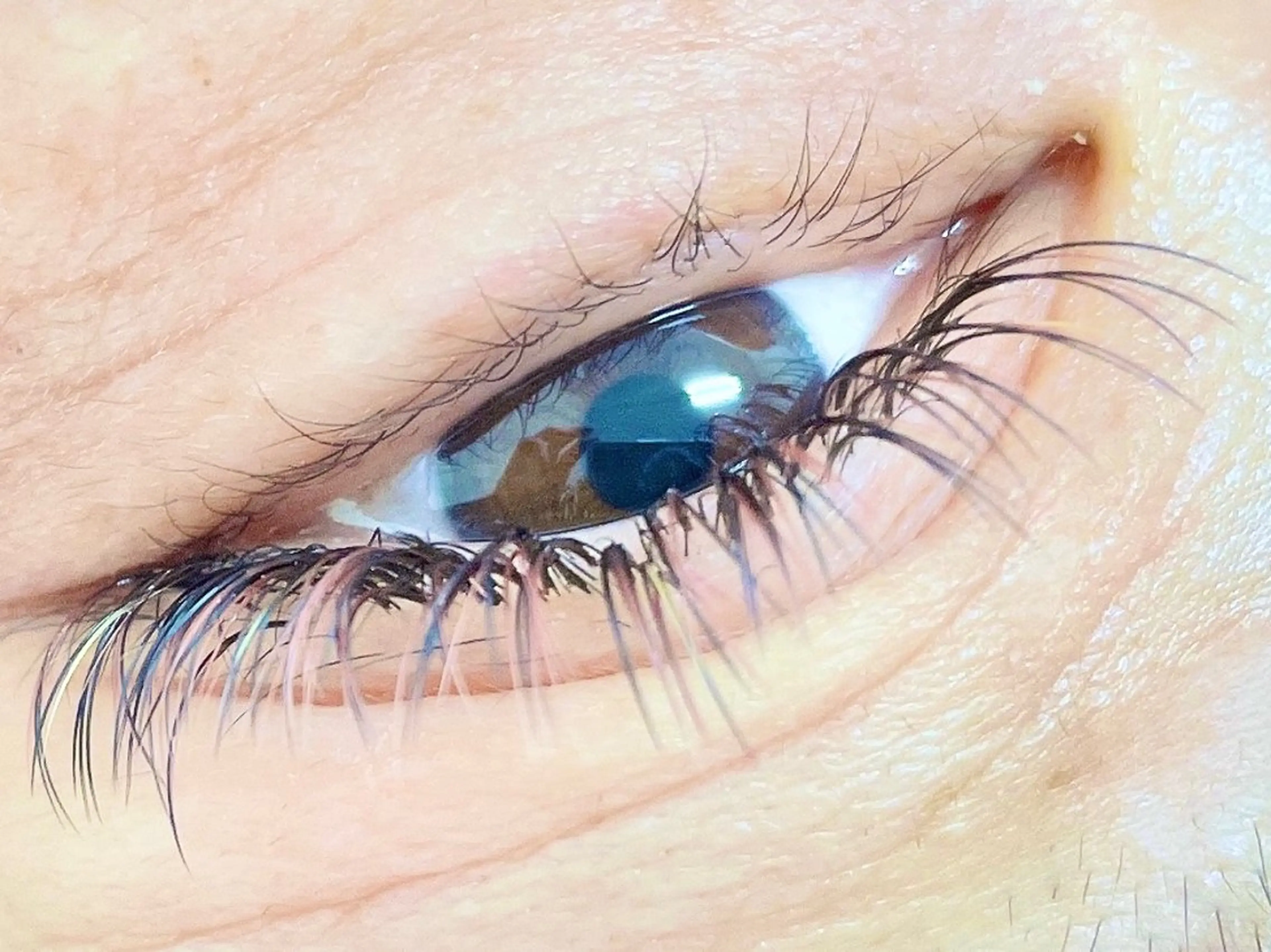 マツエク・マツパ DRESS (ドレス)のマツエク・マツパデザイン