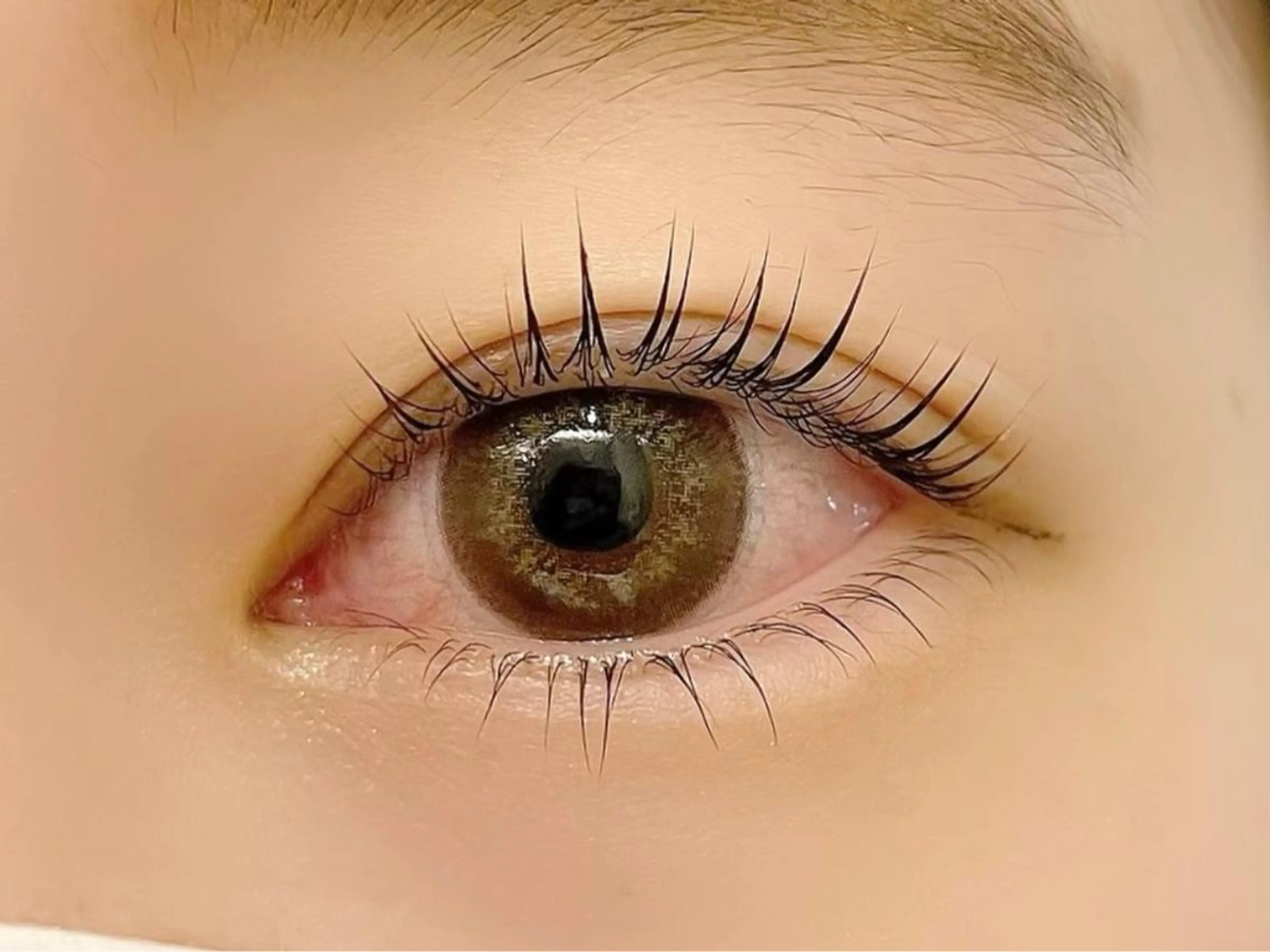 ❤︎上下パリジェンヌラッシュリフト(TR付き)❤︎ ⚠︎注意事項をお読みくださいの写真