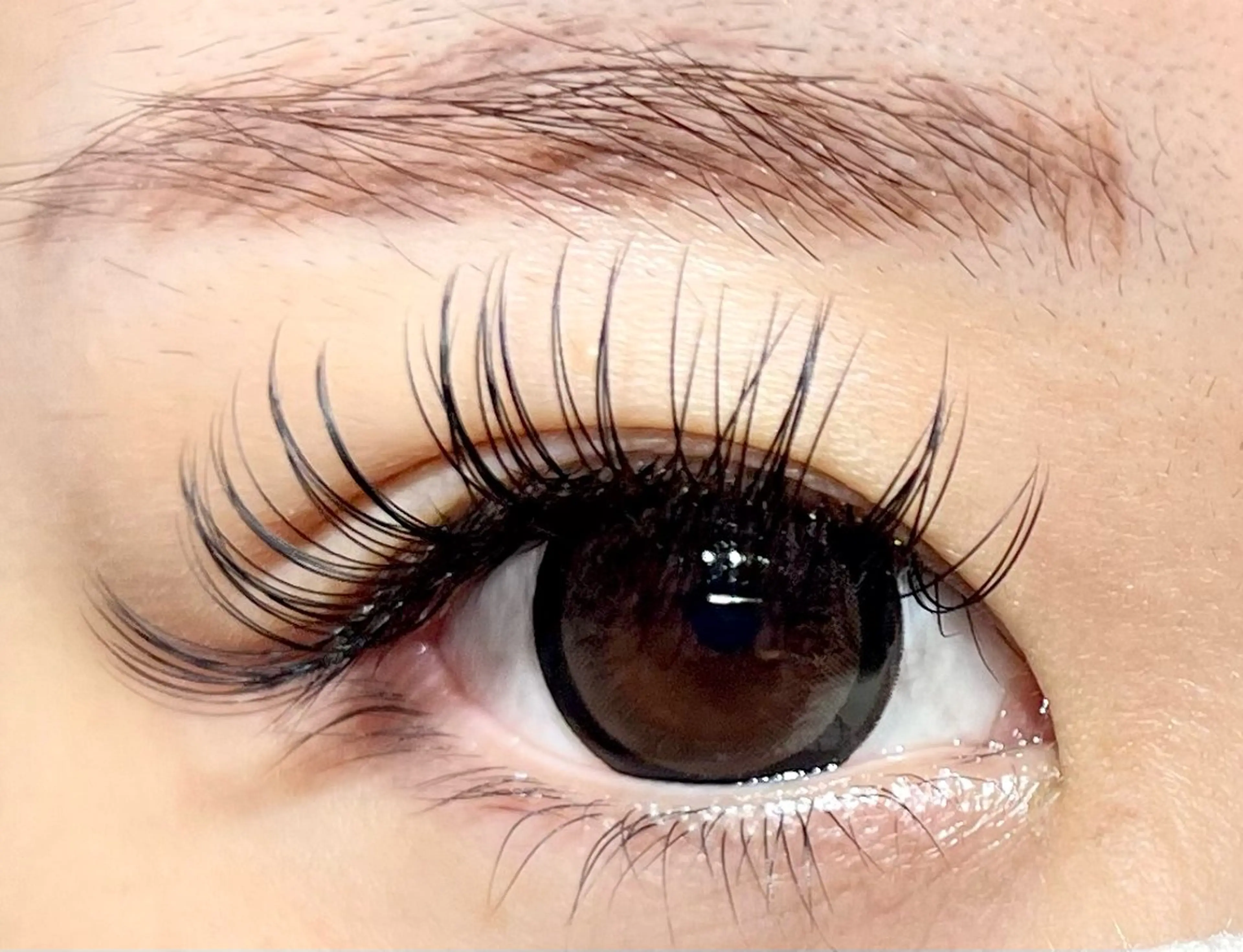 【お試しクーポン💕】フラットラッシュ８０本👀付け足しも🆗!オフ無し！持ち🆙強化剤付き🪄の写真