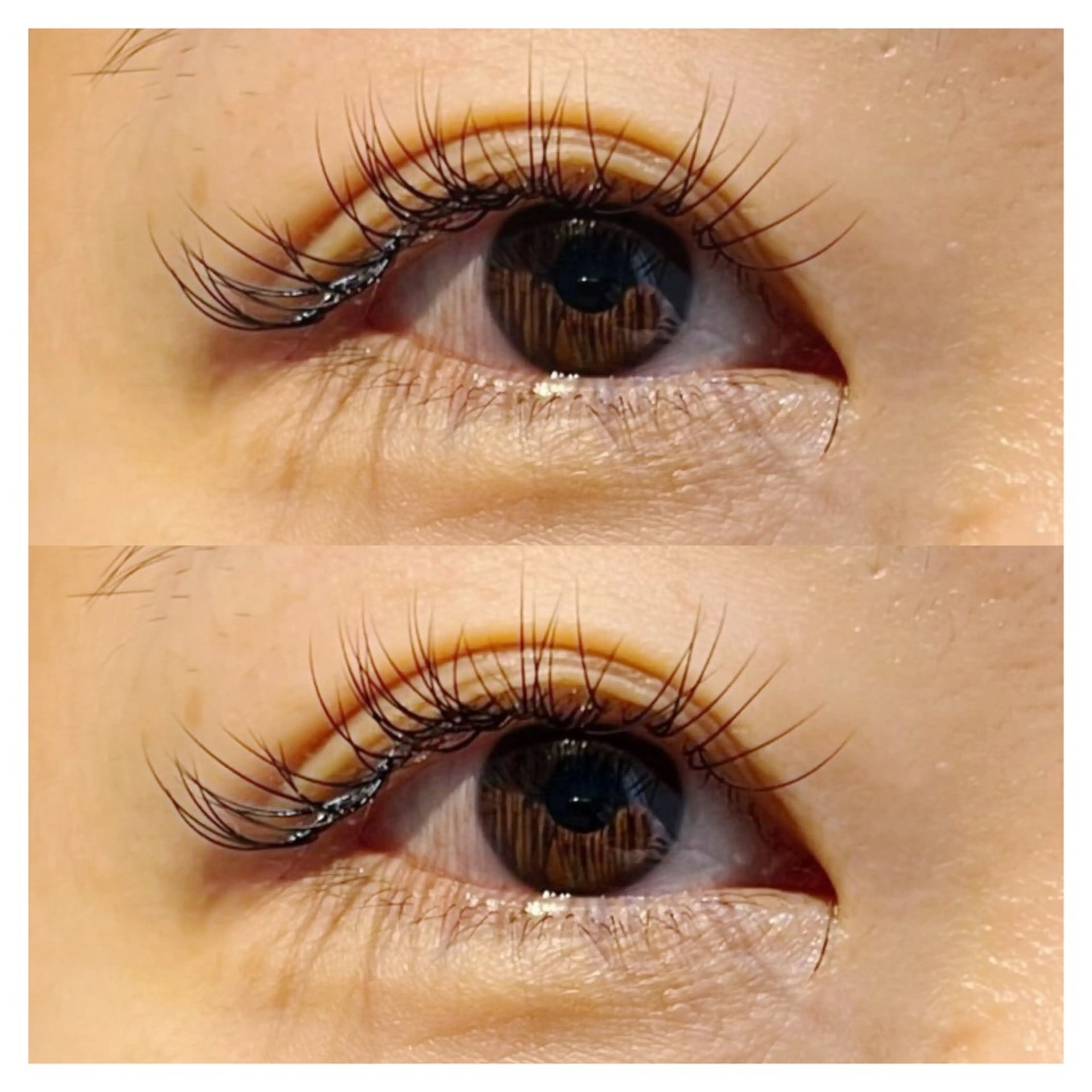 マツエク・マツパ 目尻長め カルフールノア金町店所属・カルフールノア MIYABIのマツエク・マツパデザイン