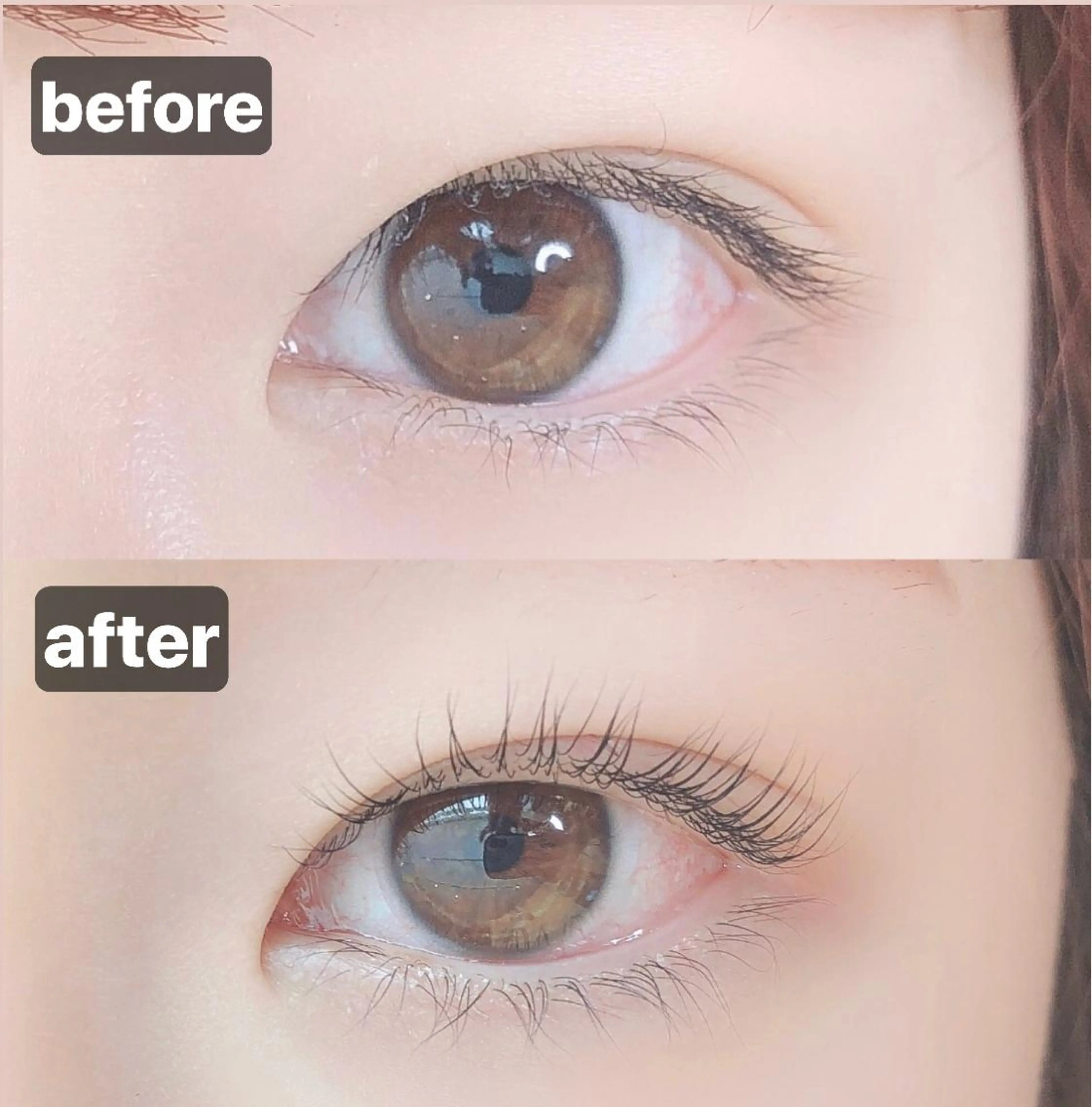 マツエク・マツパ パリジェンヌラッシュリフト マツパ Chipieee iLaのマツエク・マツパデザイン