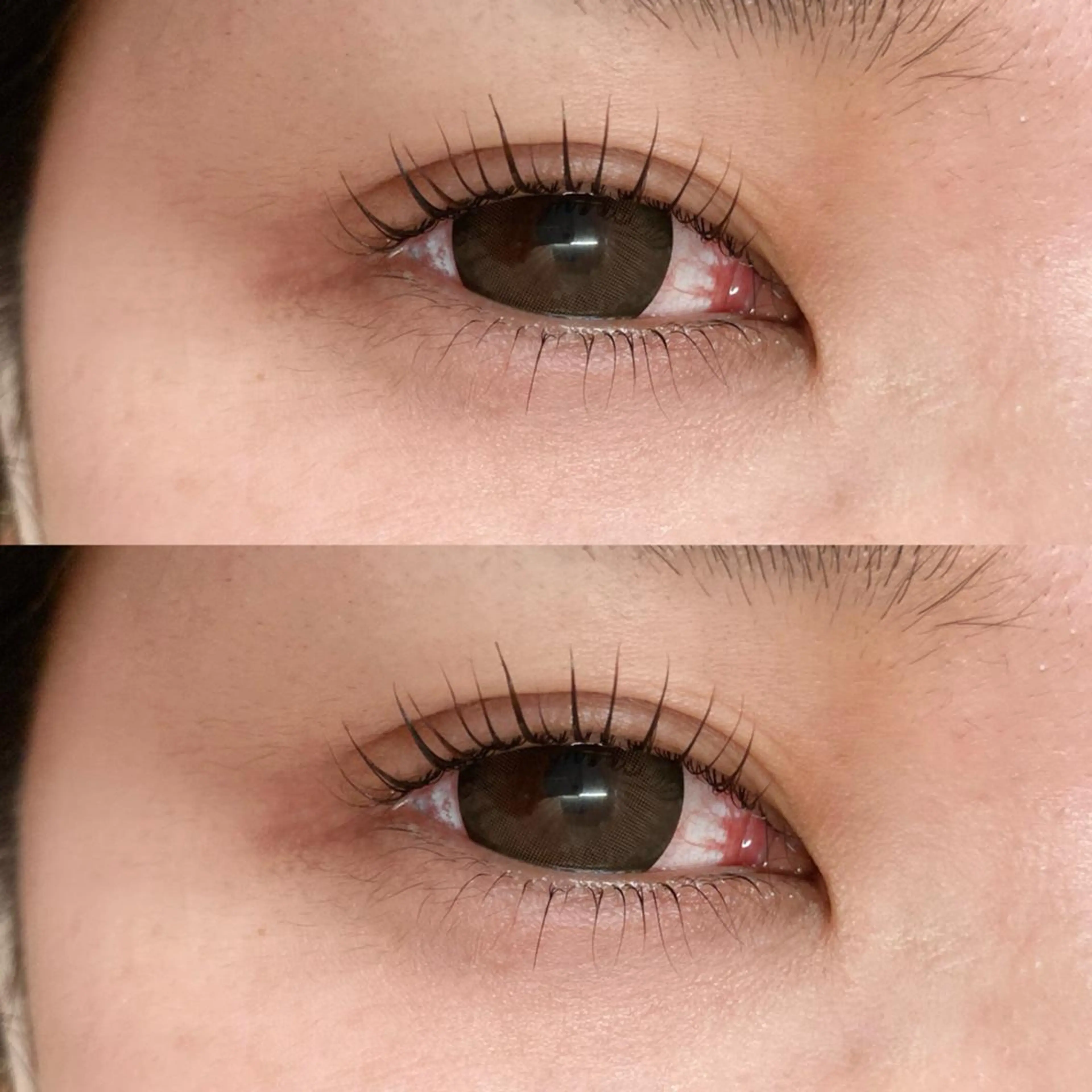 マツエク・マツパ マツパ ロコラッシュ🤍 原宿のマツエク・マツパデザイン