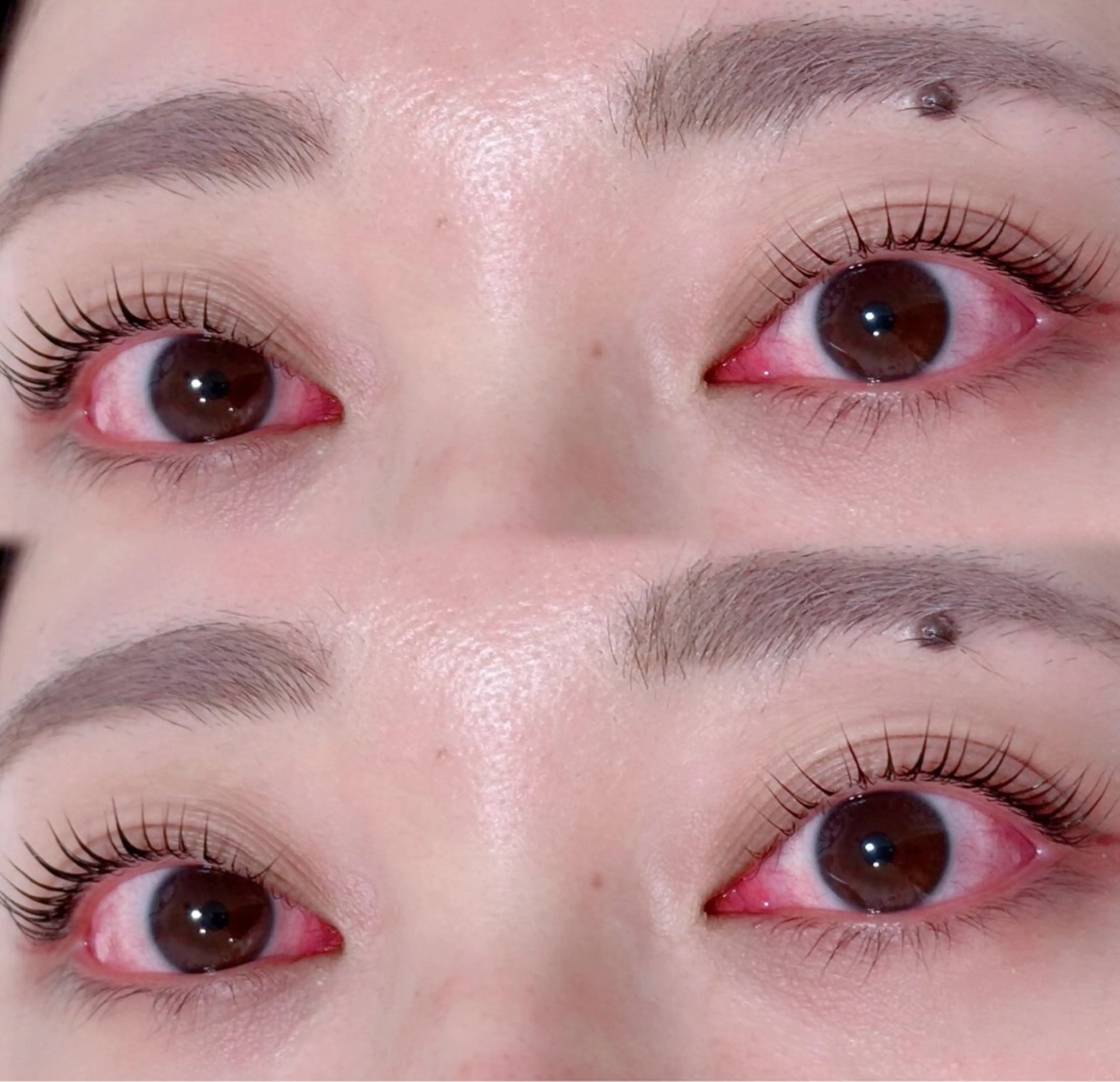 マツエク・マツパ eyelash salon KOH.甲子園口店所属・𝐀𝐲𝐚𝐦𝐞 🤎の眉毛・アイブロウイメージ