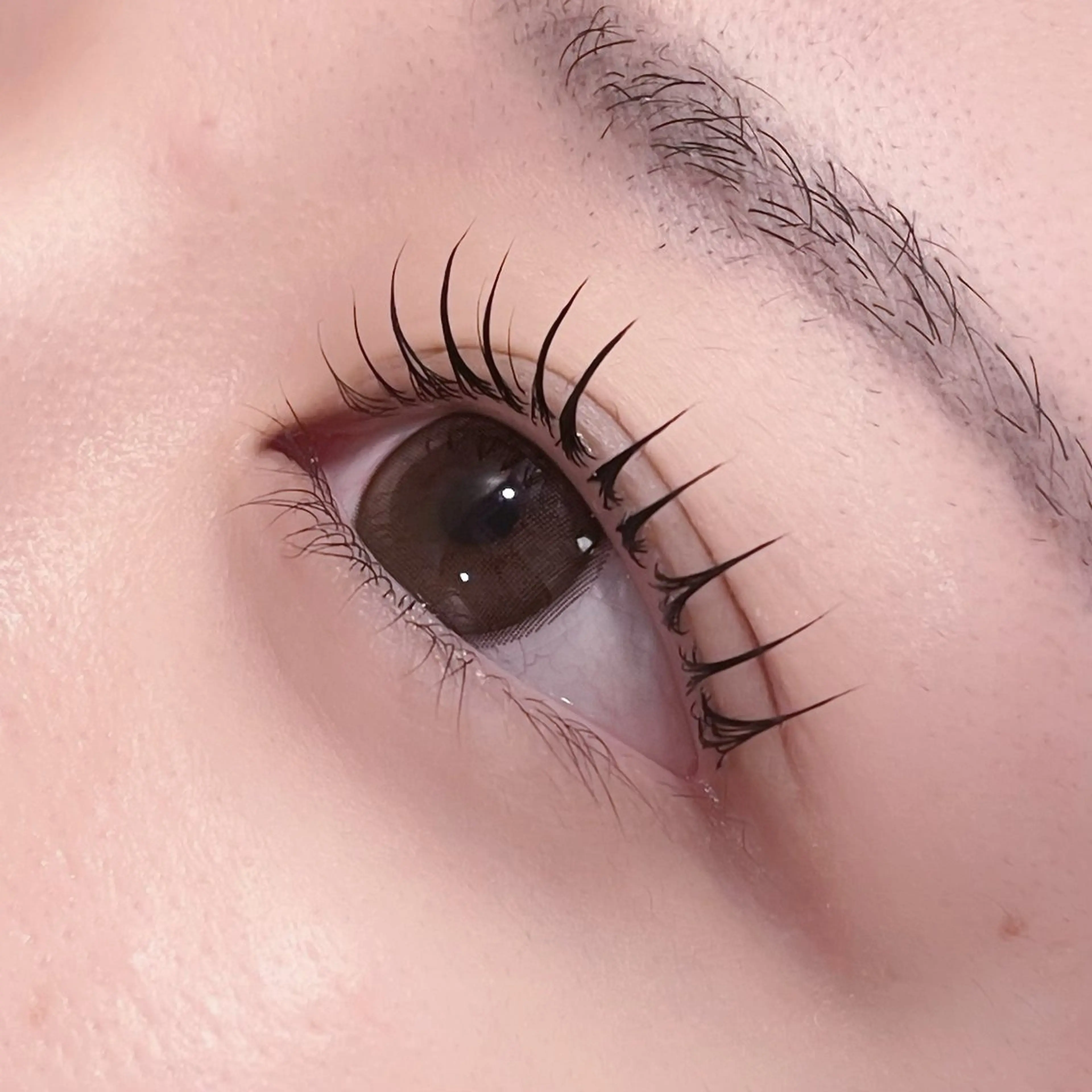 マツエク・マツパ pono大宮東口店 店長🩰AOHA🩰のマツエク・マツパデザイン