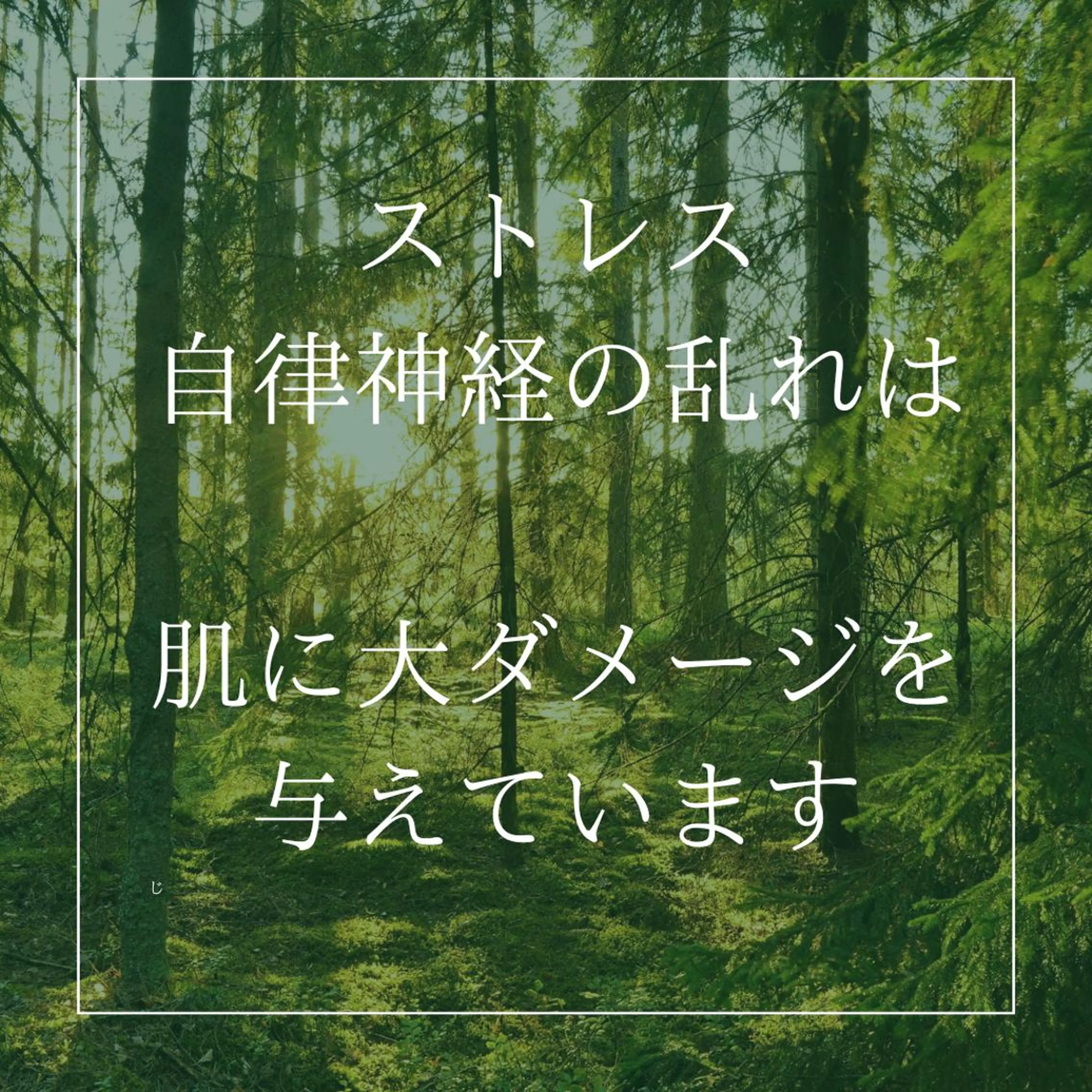 セミロング カラー パーマ ヘアアレンジ メンズ キッズ ネイル マツエク・マツパ アイブロウ ニキビ特化型エステ 🍓最短で肌質改善のその他イメージ