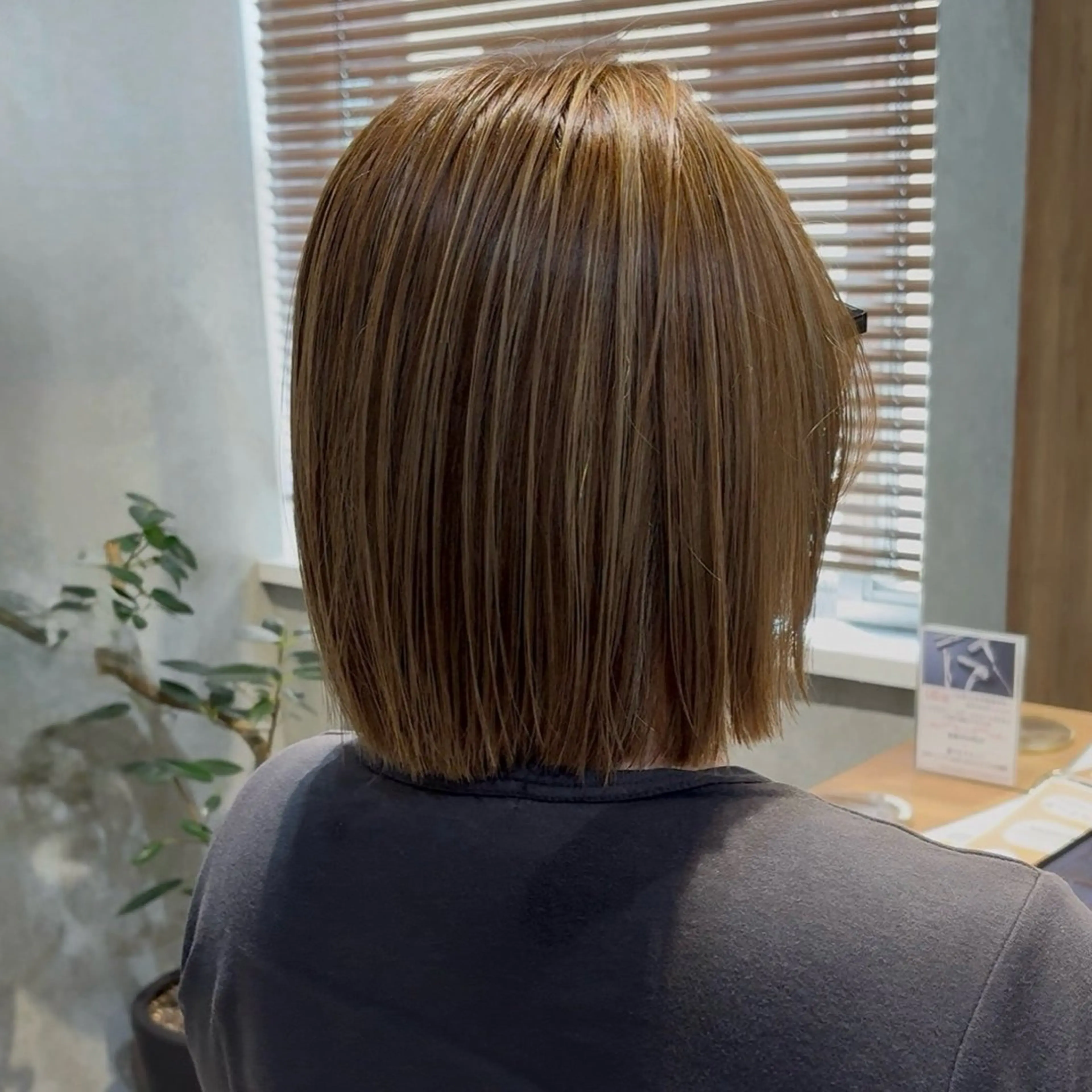 ショート カラー カット ヘアカラー トリートメント 細めハイライト🩶 ボブ/レイヤーカットのヘアスタイル