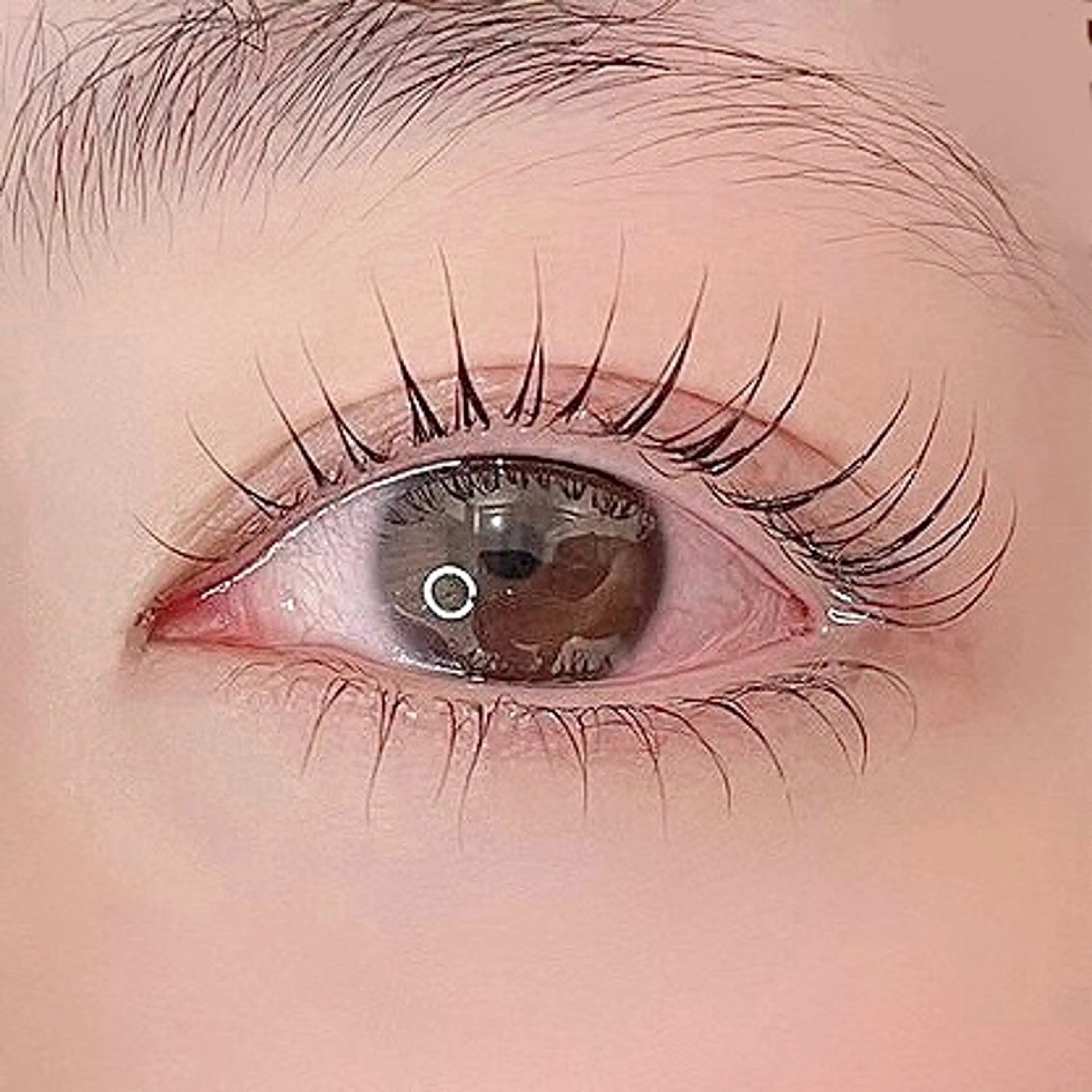 マツエク・マツパ ナチュラル 下まつげエクステ 一重×まつ毛パーマ マツパ 長尾 桃果 🫧 eyelistの眉毛・アイブロウイメージ