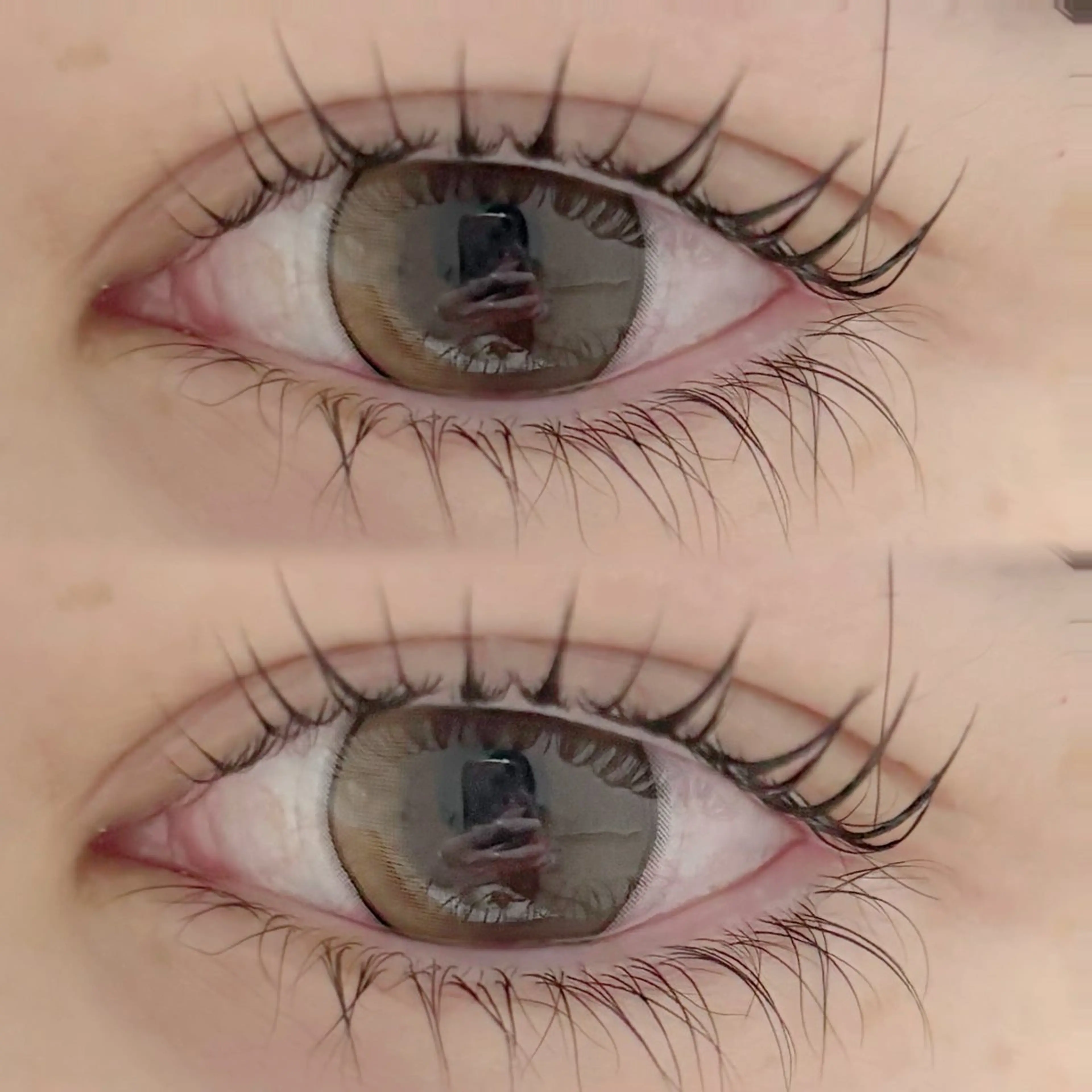 🎀無料まつげパーマ+美容液コーティングの写真