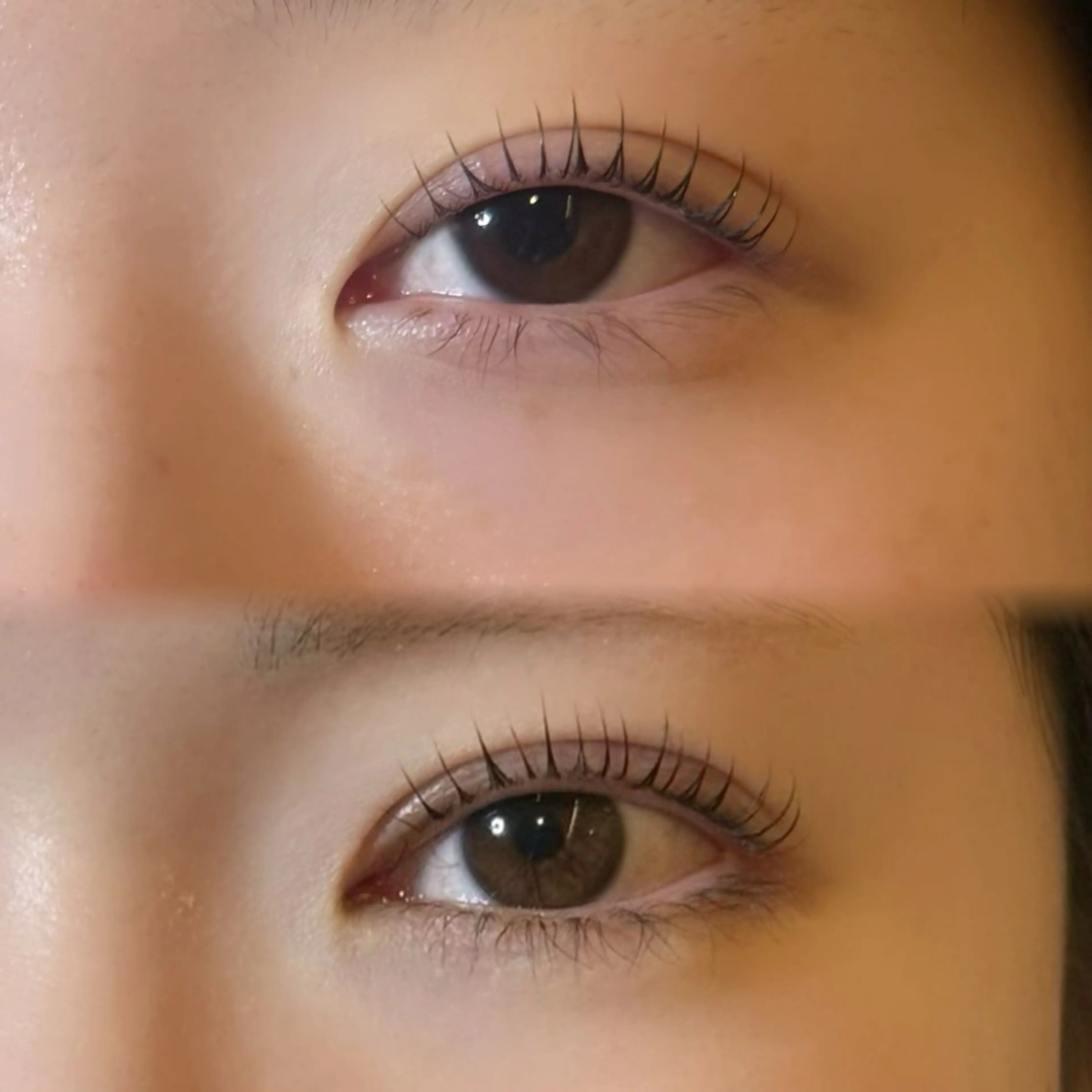 マツエク・マツパ No.3 Lash & Brow【まつ毛と眉の専門店】所属・柴田 采音の眉毛・アイブロウイメージ