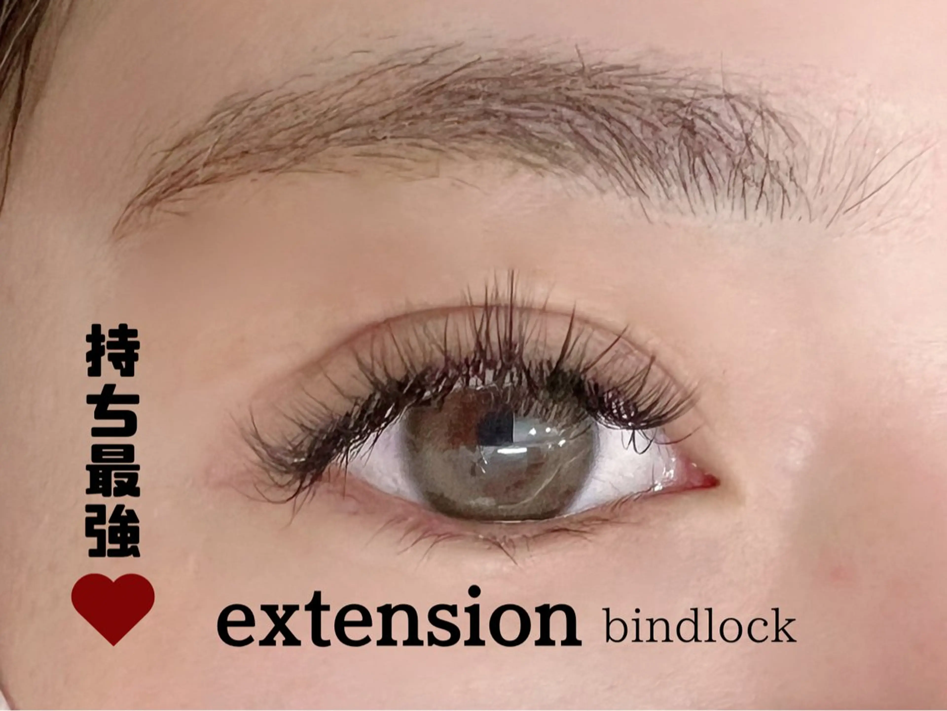 【U24】バインドロック80束の写真