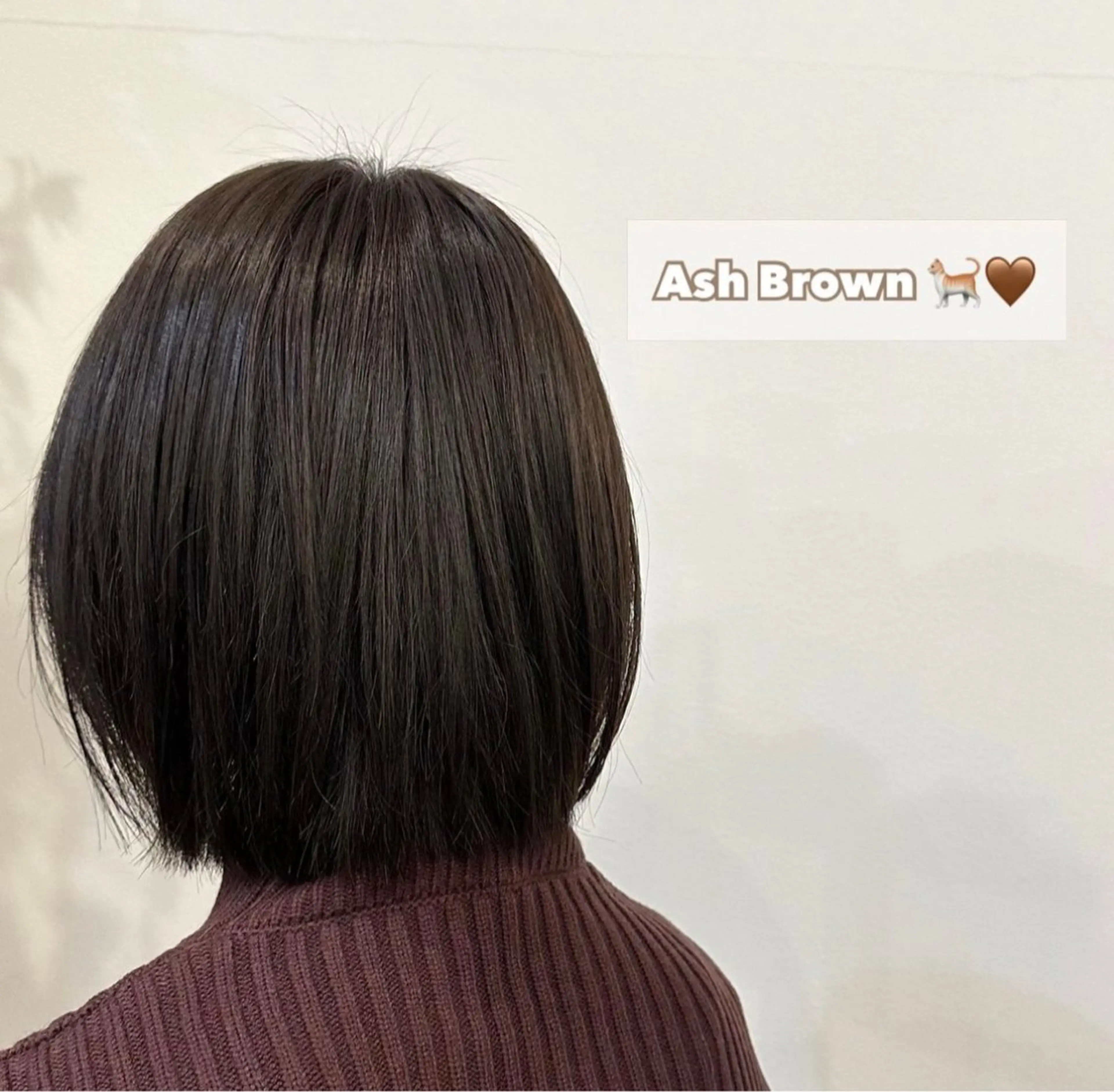 レディースカット+シングルカラーの写真