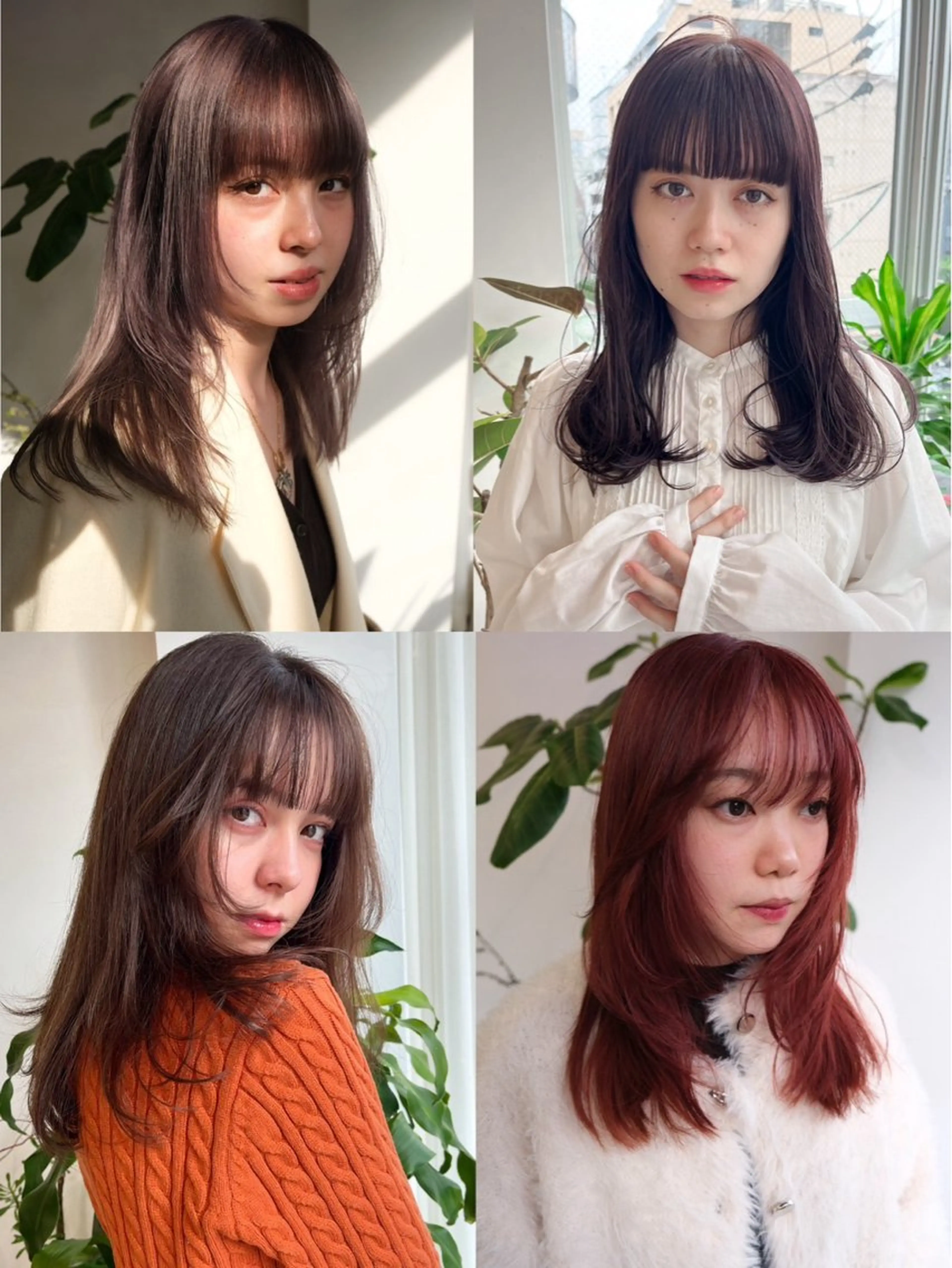 🪩今年大学卒業の方限定🪩ワンカラー&トリートメント&顔周りカット🐩🎶の写真