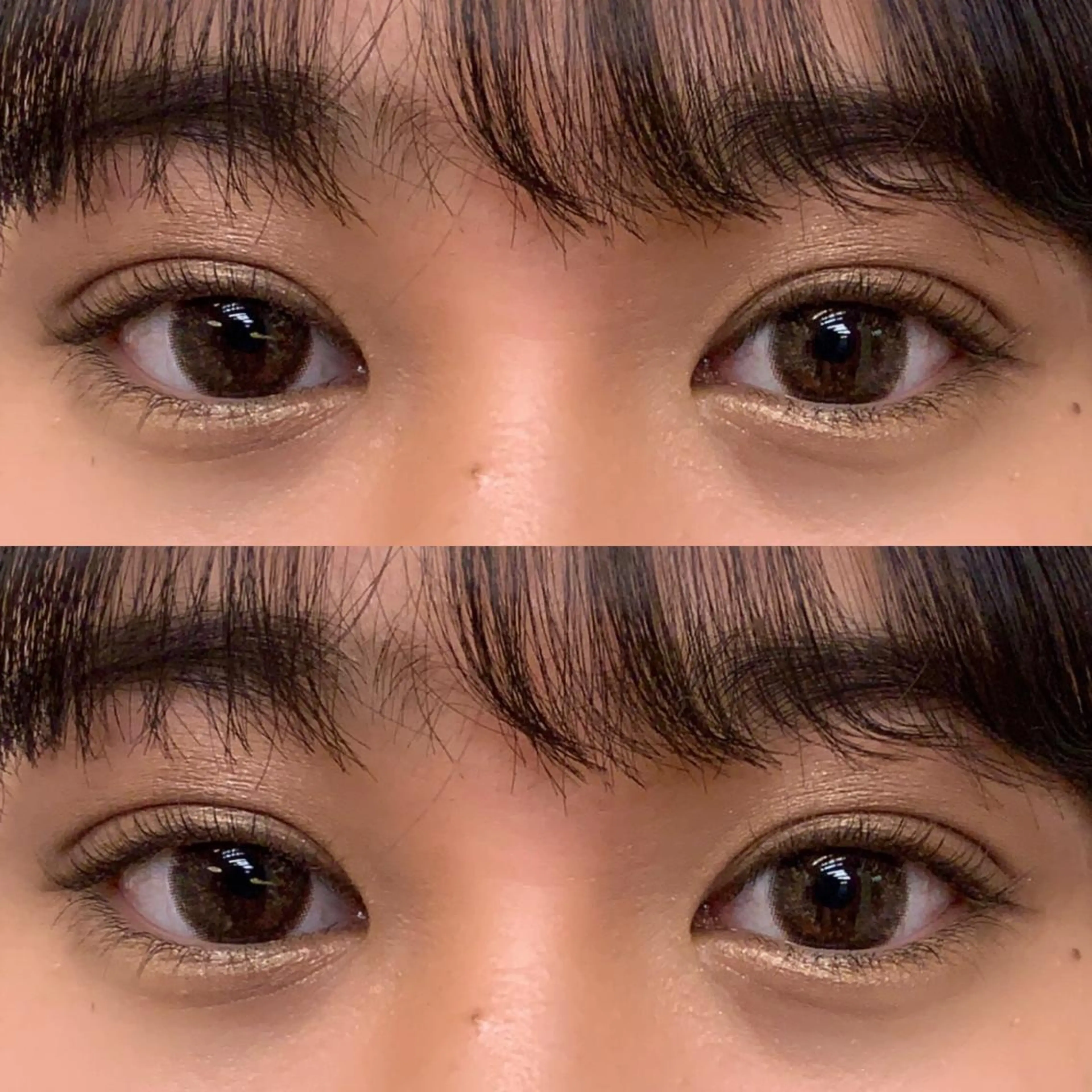 ラッシュリフト＋まつ毛育毛の写真