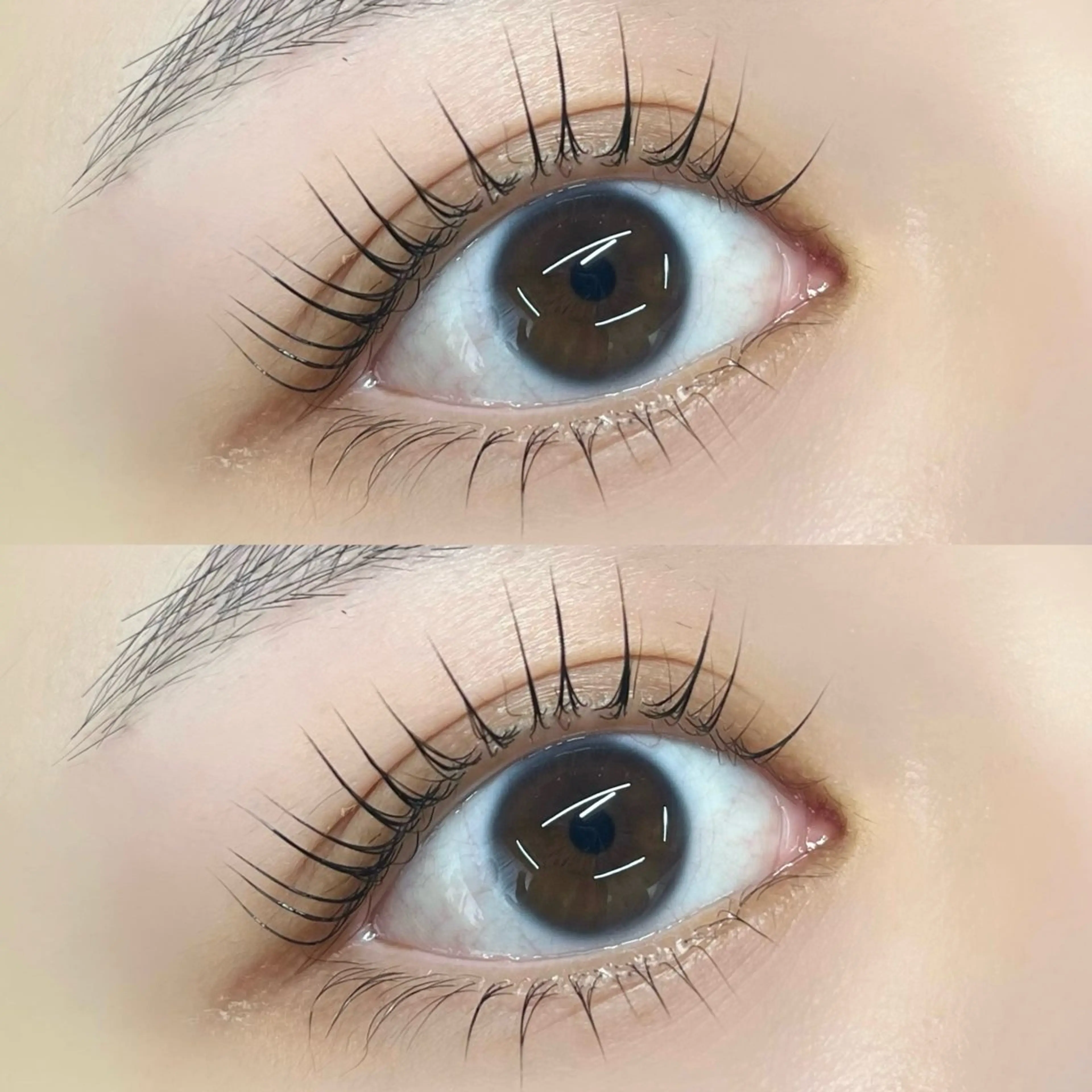 マツエク・マツパ マツパ 【LILY】伊沢/ バインド/パリ/エクのマツエク・マツパデザイン