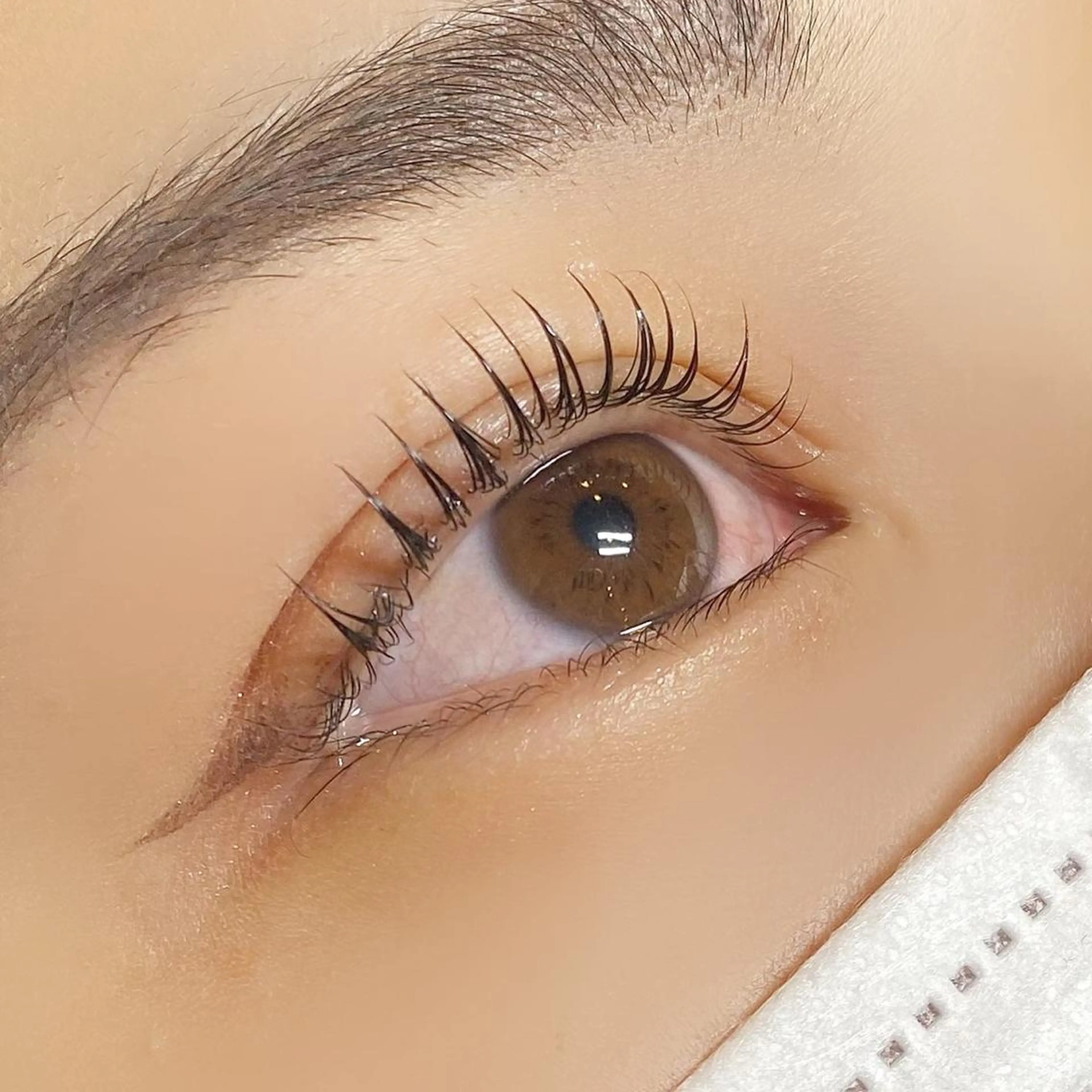 マツエク・マツパ Lカール 一重×まつ毛パーマ 🪽yoshino miku 🩵のマツエク・マツパデザイン