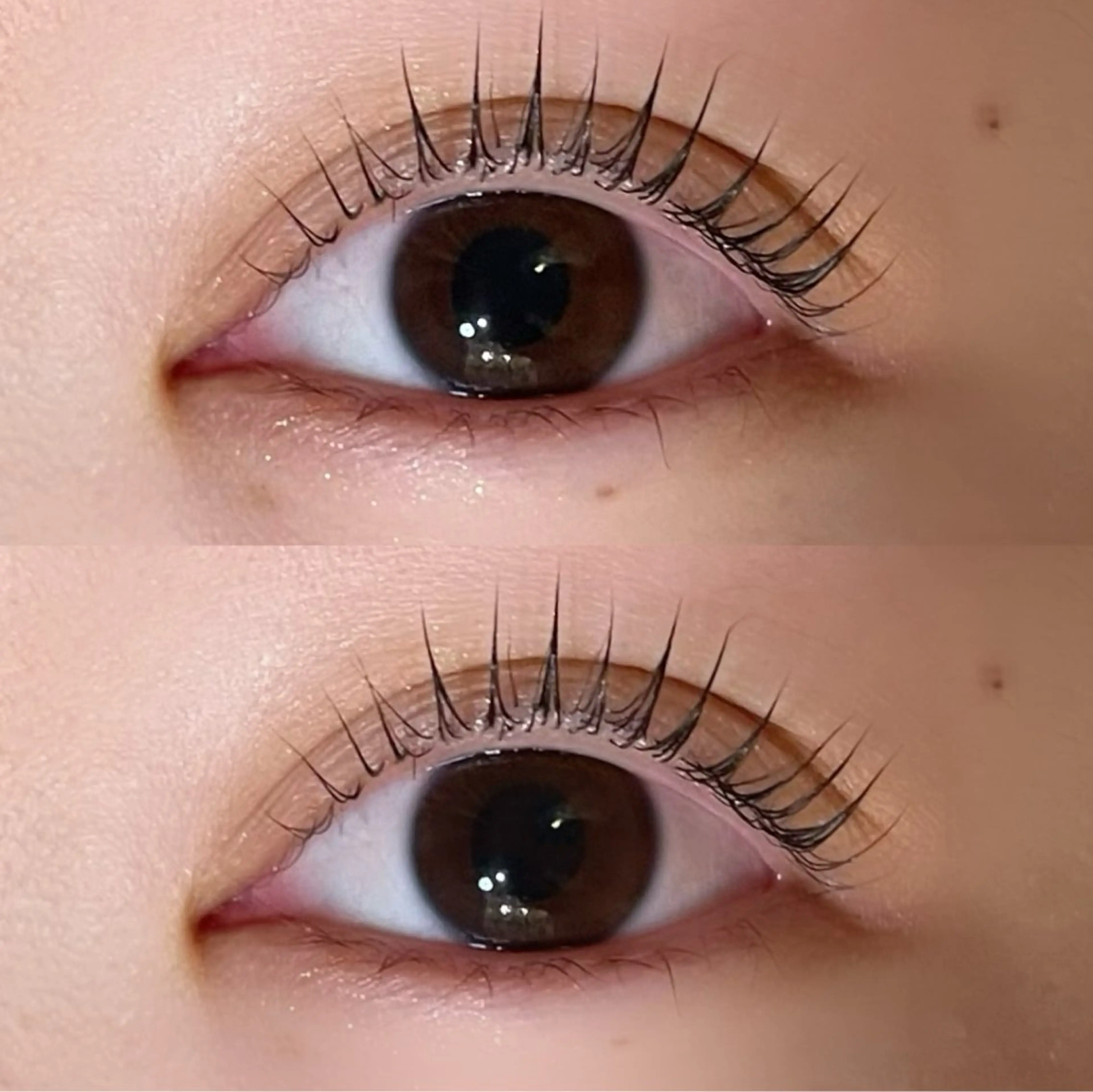 マツエク・マツパ Mon mignon ෆ‪momokaのマツエク・マツパデザイン