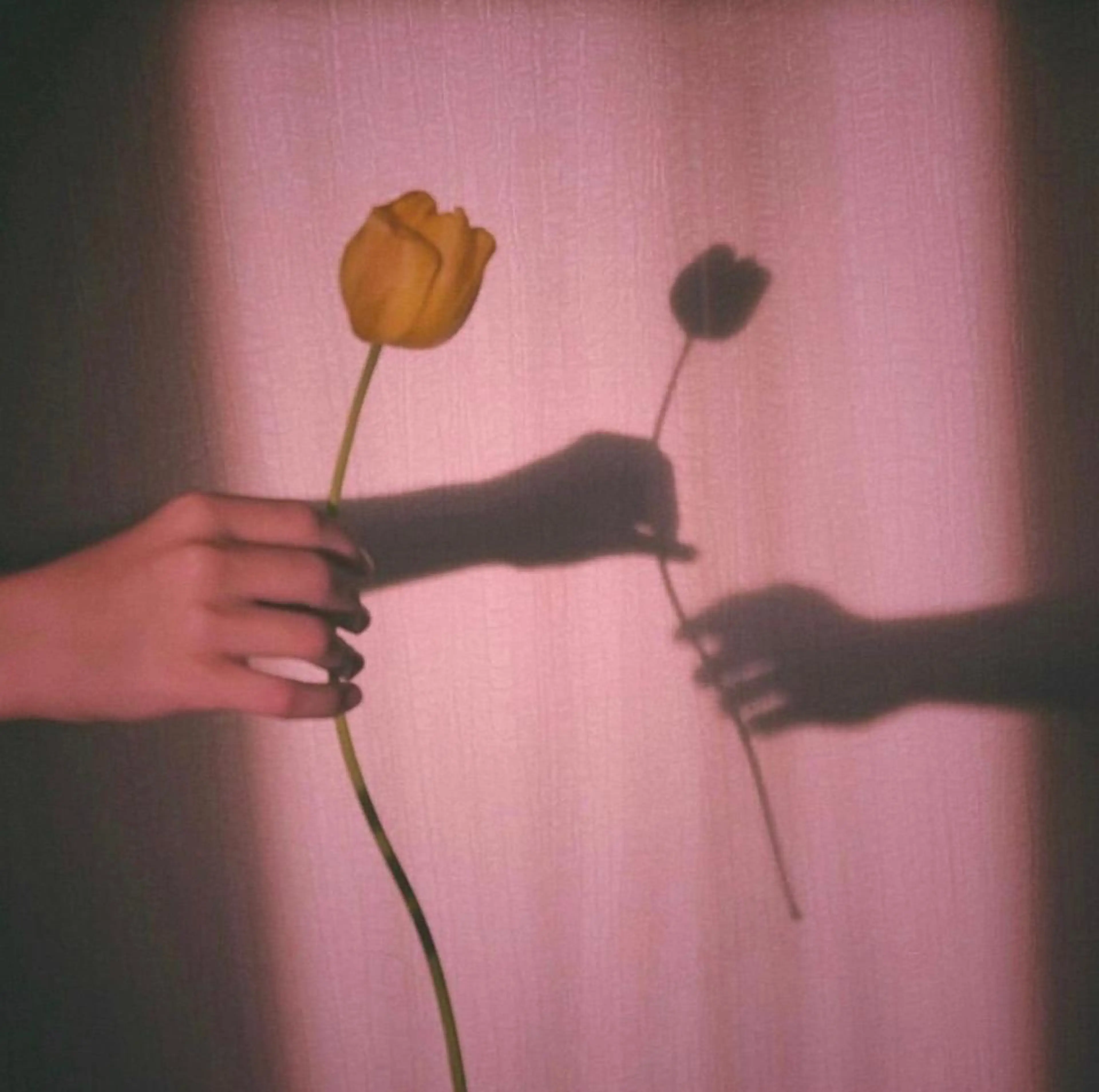 マツエク・マツパ ✨アイリスト✨ JURIのマツエク・マツパデザイン