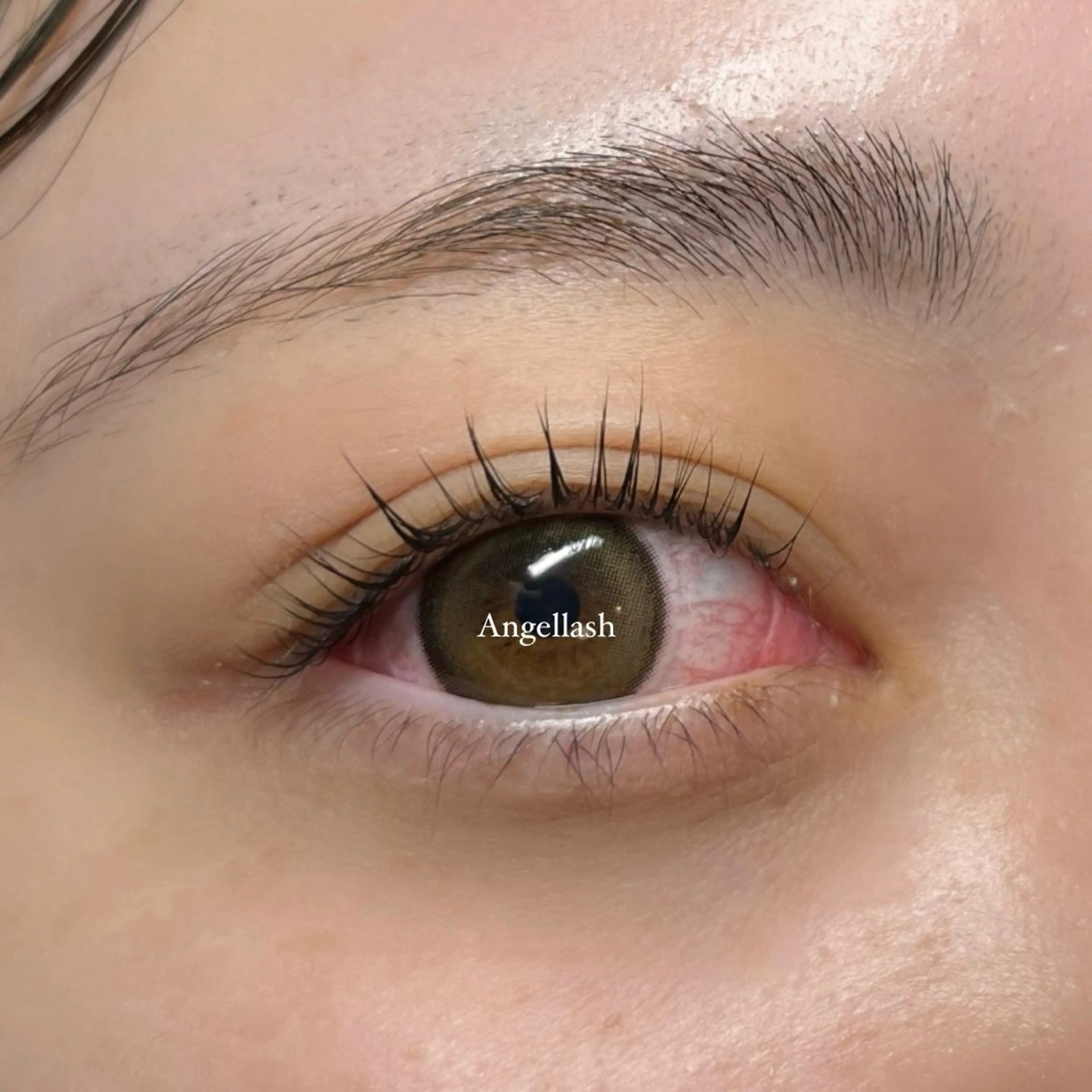 マツエク・マツパ パリジェンヌラッシュリフト AngelLash所属・AngleLash hayashiのマツエク・マツパデザイン