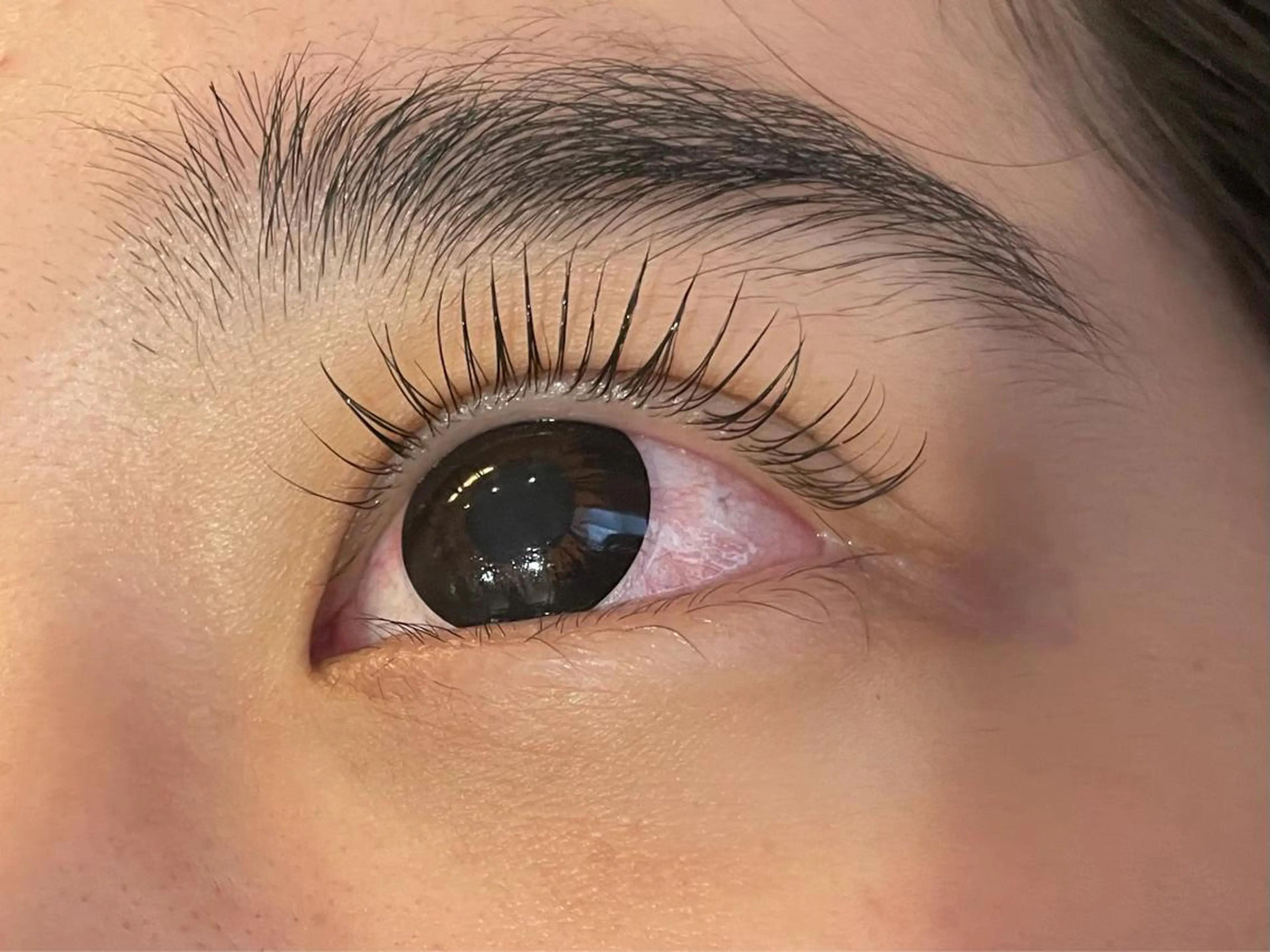 マツエク・マツパ 向井 萌華の眉毛・アイブロウイメージ