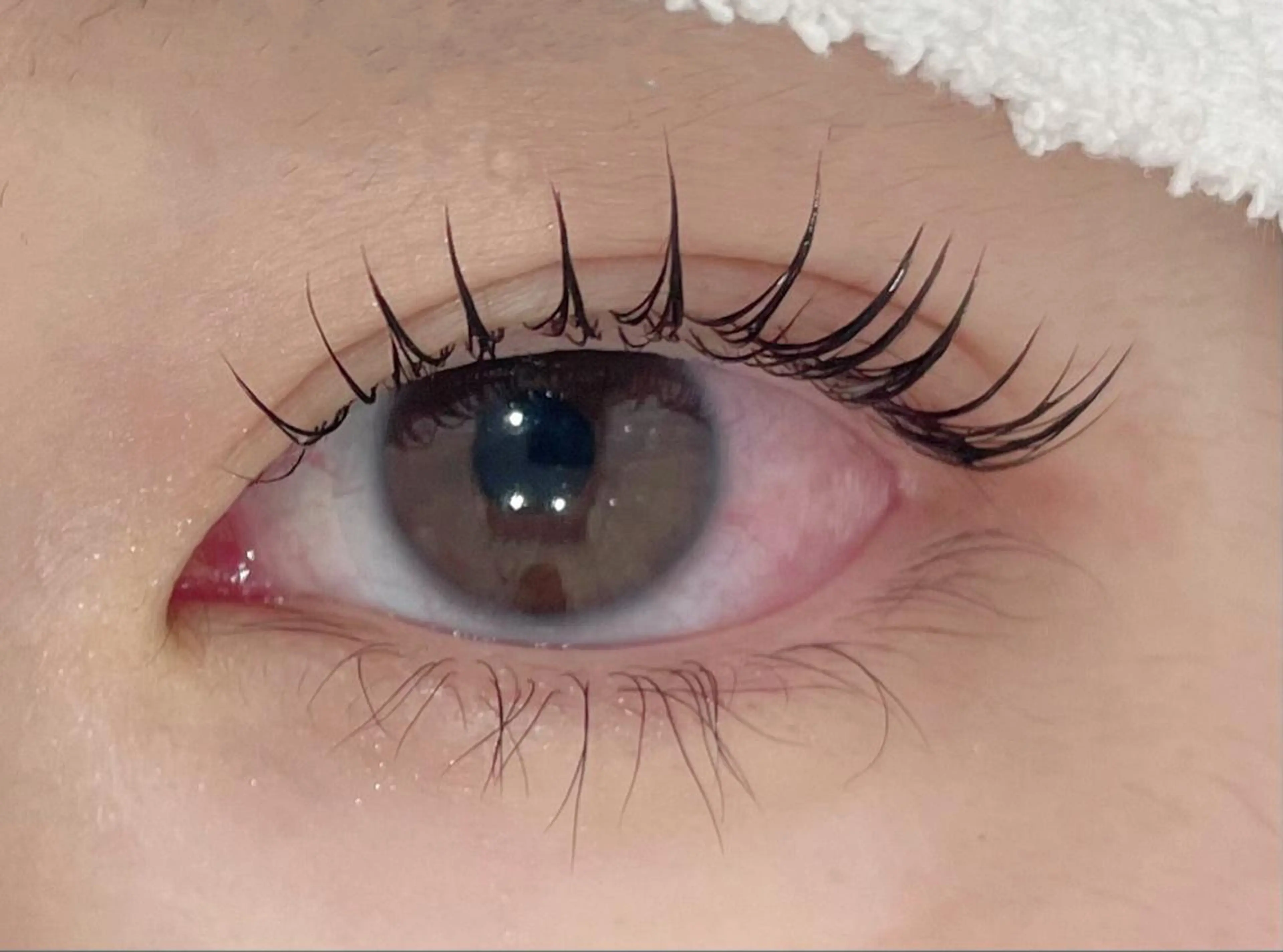 マツエク・マツパ マツパ まつげパーマ専門店 くるり🎀赤澤🎀のマツエク・マツパデザイン