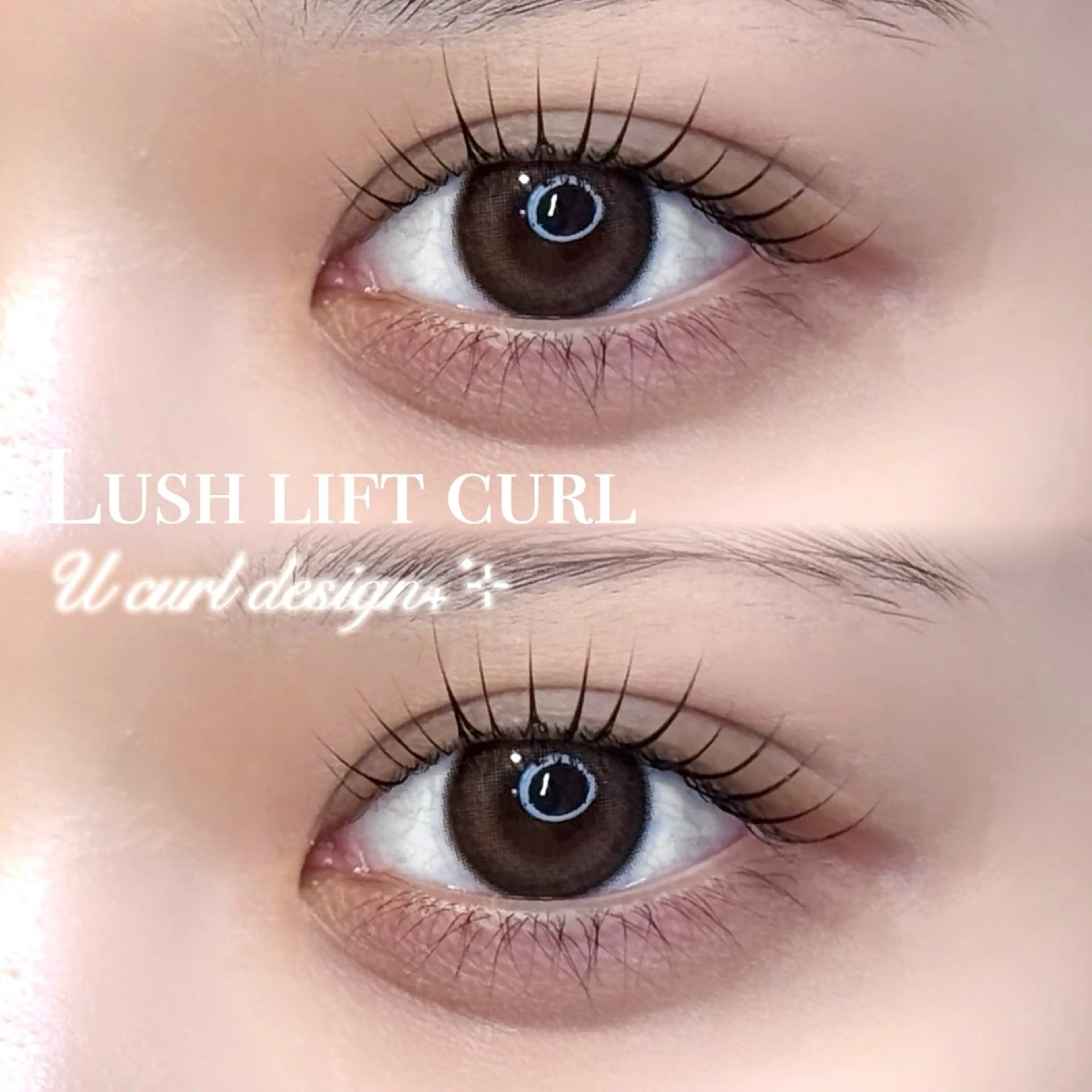 【束感韓国風まつげ🇰🇷💞】🪽パリジェンヌorラッシュリフト+コーティング仕上げ🪄¥6600の写真