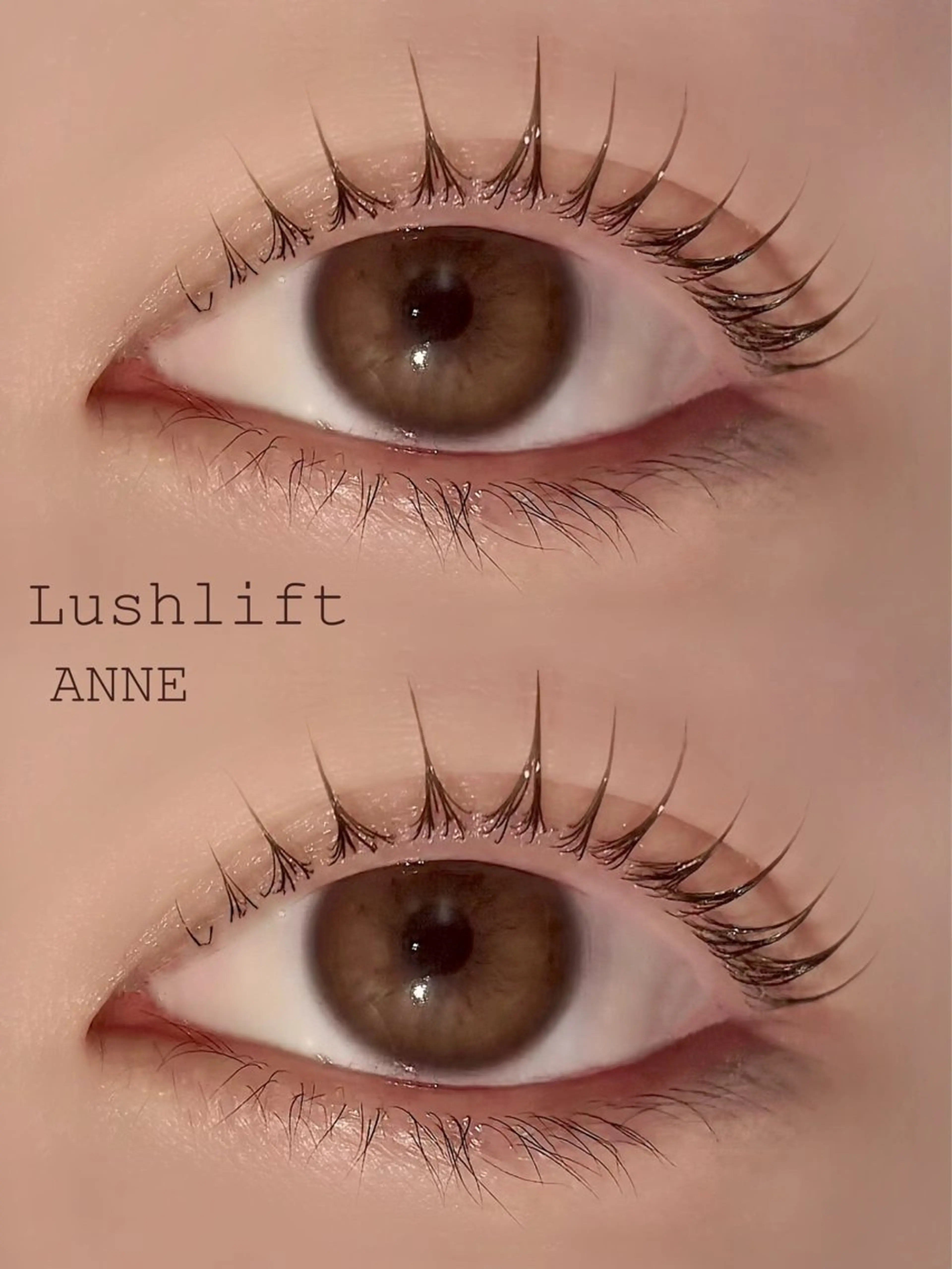 マツエク・マツパ 束感まつ毛 韓国風マツエク ナチュラル 一重×まつ毛パーマ マツパ ANNE梅田 GRACE店所属・ANNE chizuのマツエク・マツパデザイン