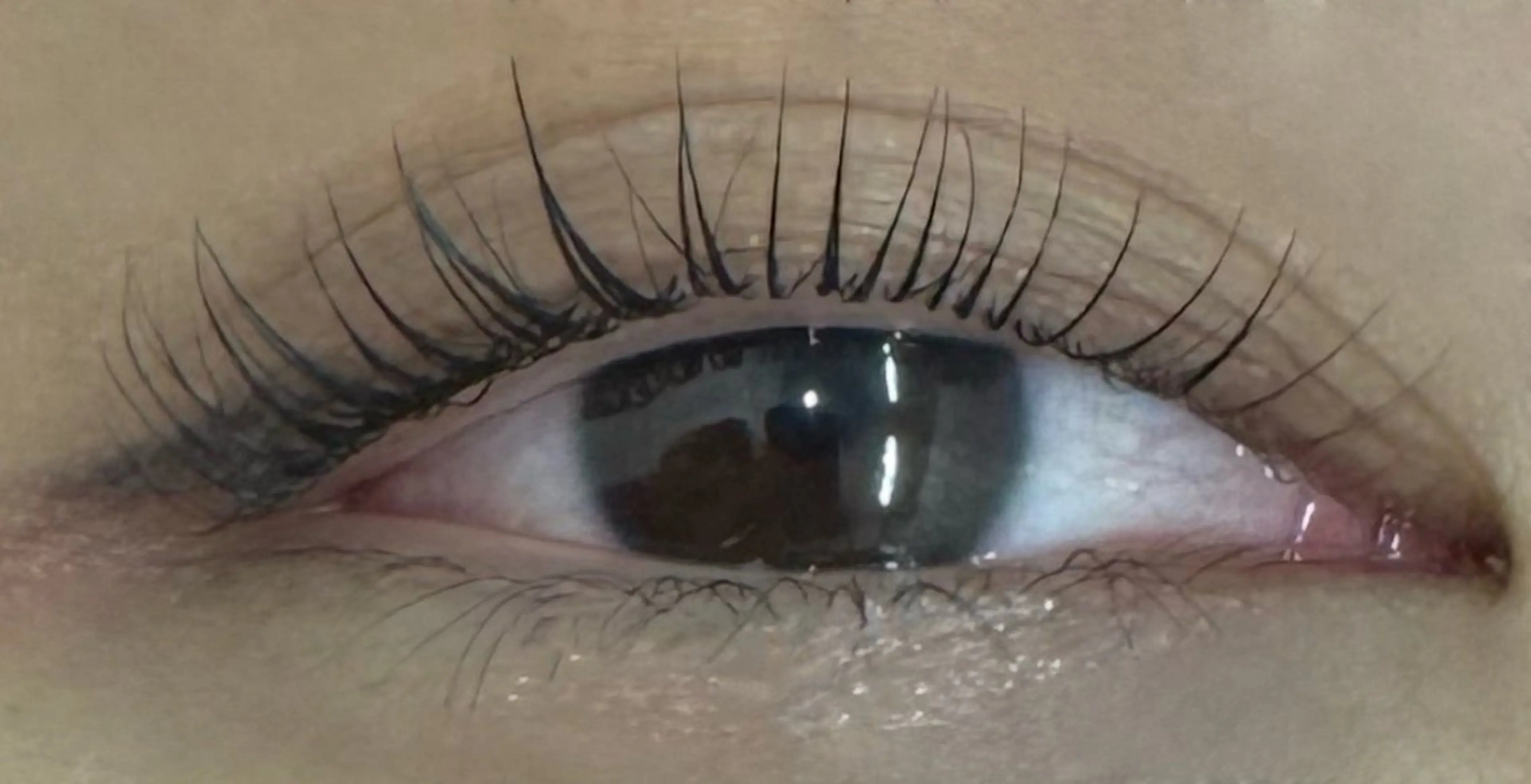 マツエク・マツパ パリジェンヌラッシュリフト 一重×まつ毛パーマ KANGOL BEAUTY SALON Eyelash アルカキット錦糸町店所属・板谷 弥生のマツエク・マツパデザイン