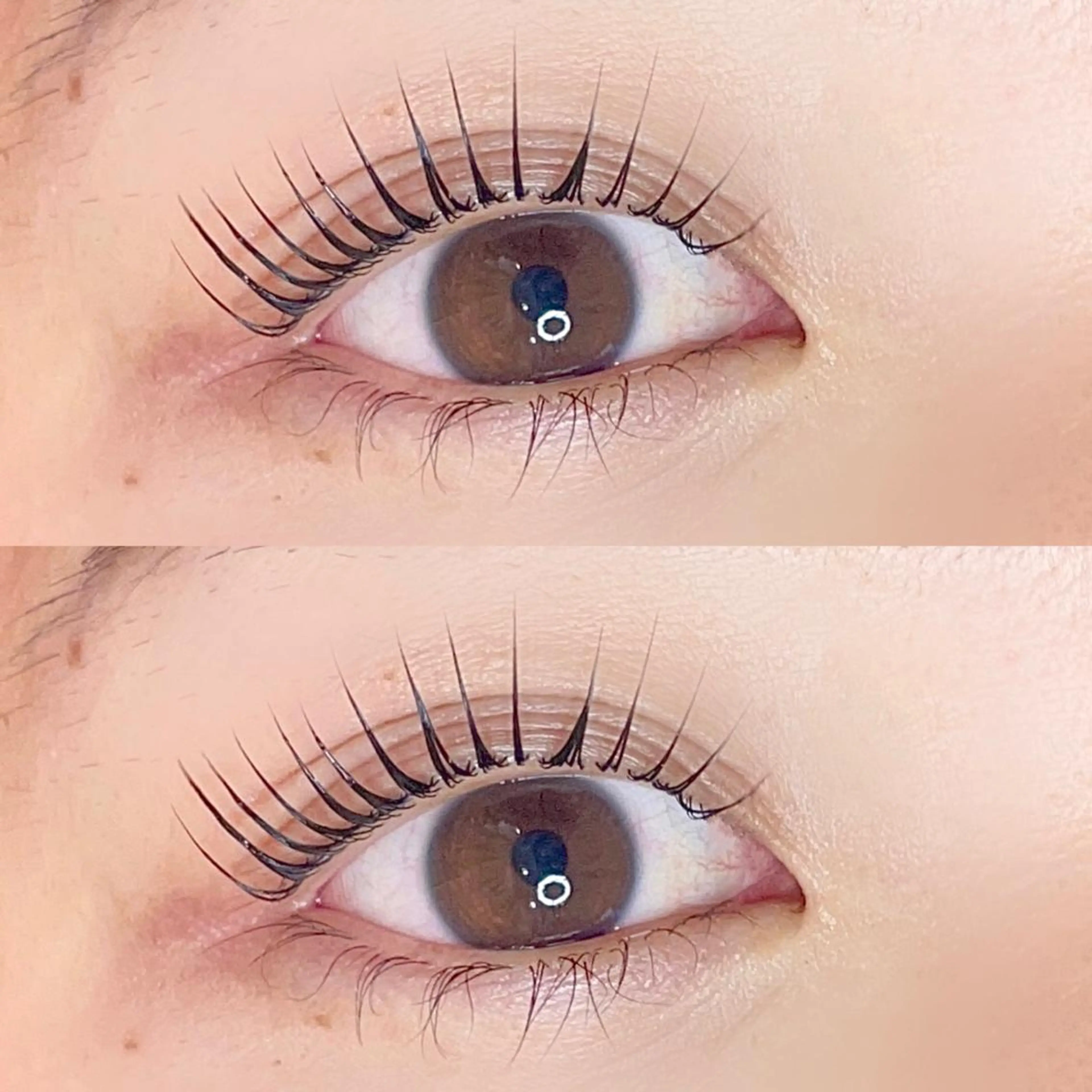 マツエク・マツパ L.所属・L. エルドットのマツエク・マツパデザイン