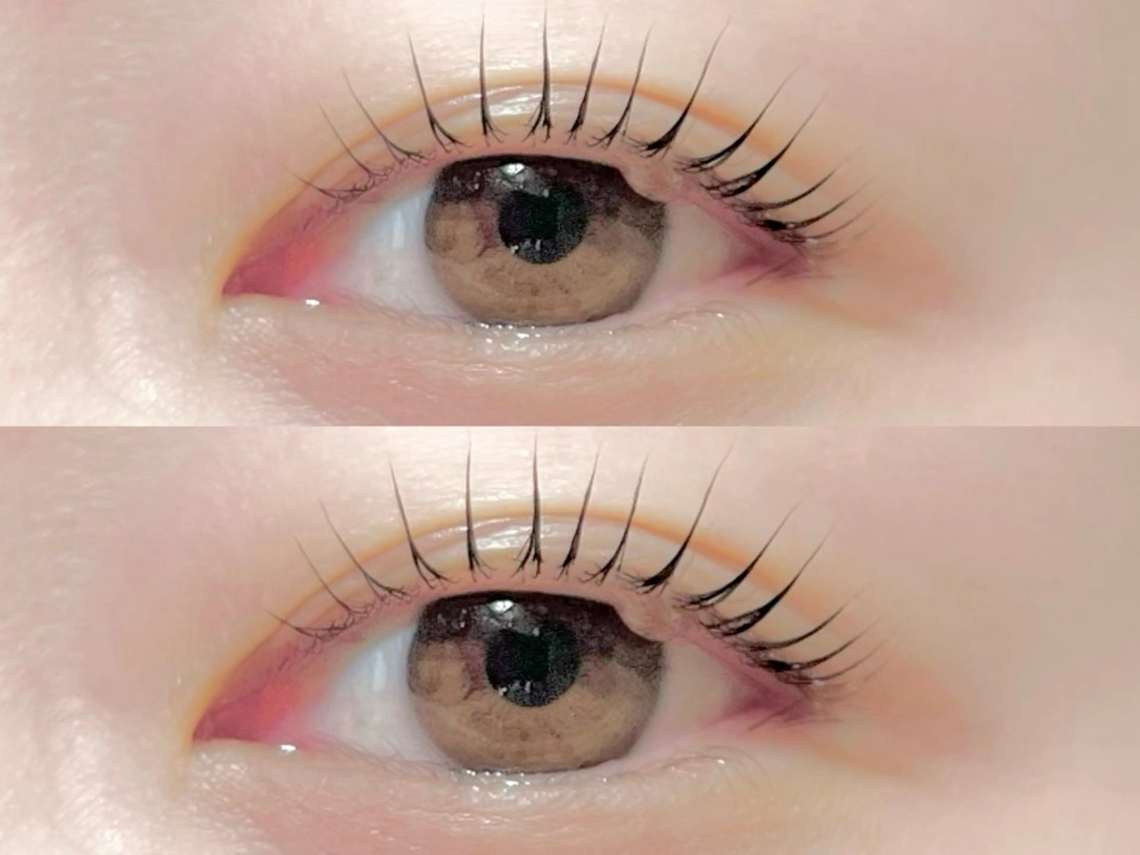 マツエク・マツパ パリジェンヌラッシュリフト eyelash&eyebrow Erde所属・Erde/ horizoe🕊️の眉毛・アイブロウイメージ