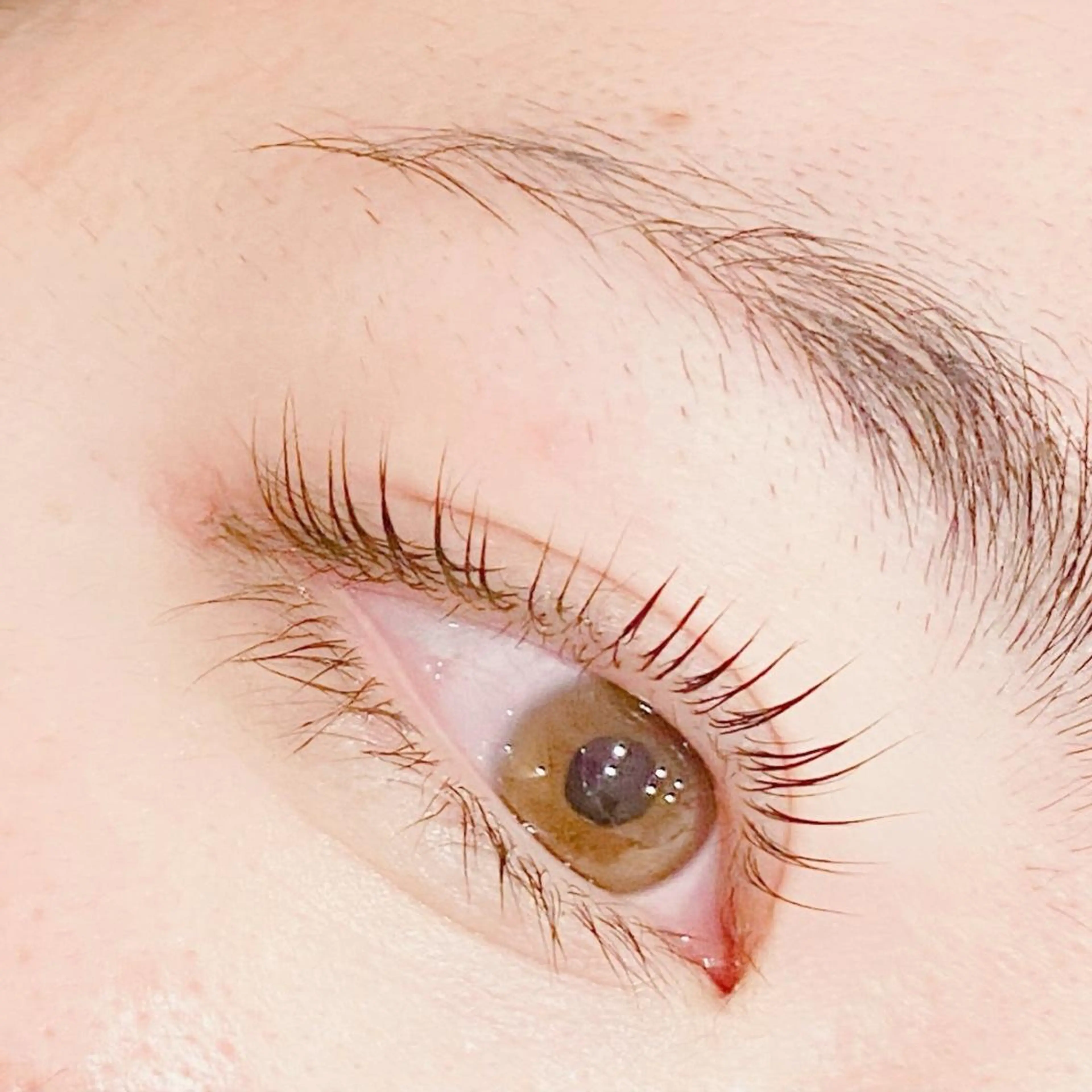 マツエク・マツパ パリジェンヌラッシュリフト Chermy(チェルミー)所属・Chermy 矢島のマツエク・マツパデザイン