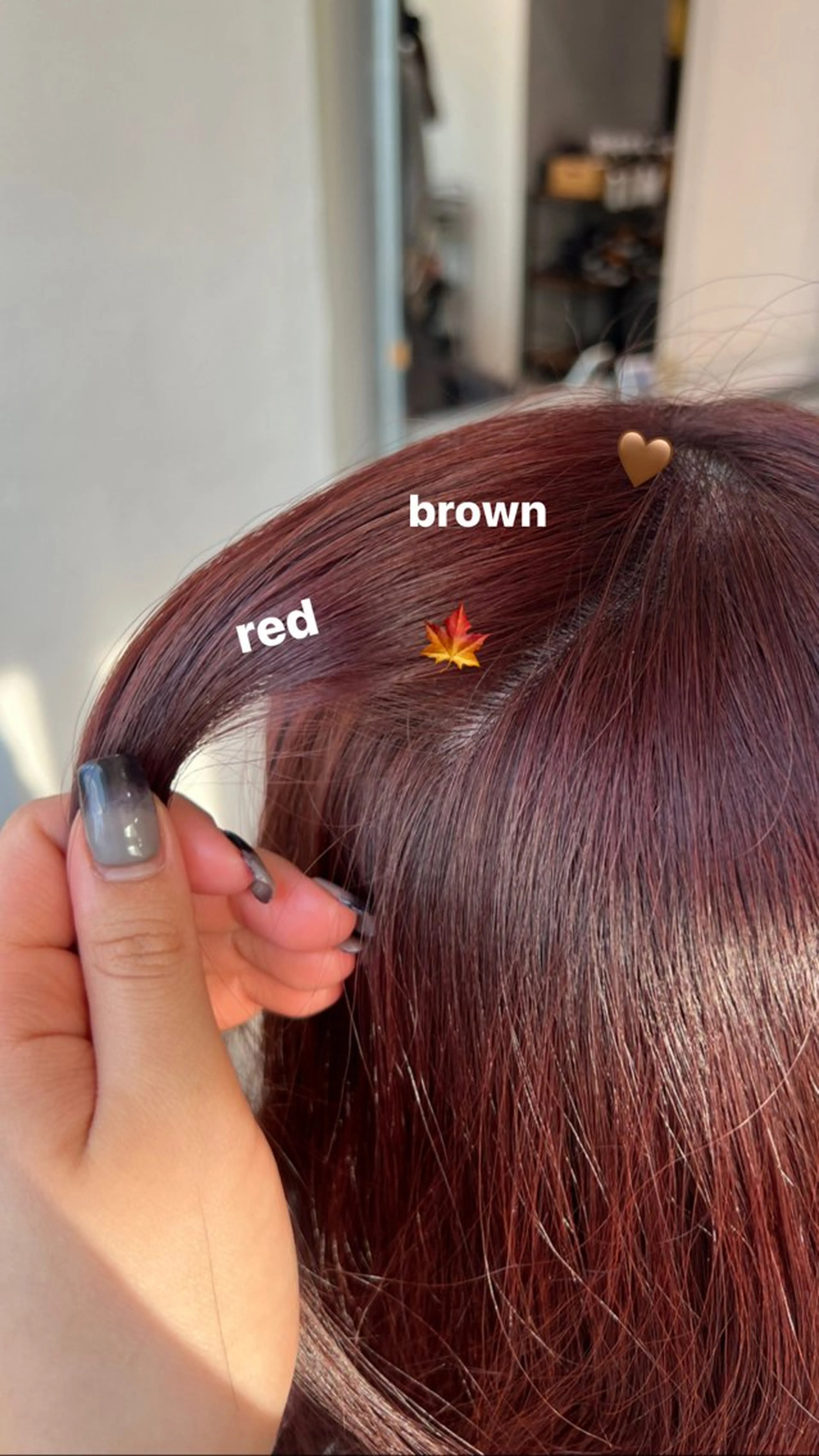 ロング カラー ブリーチ ブリーチなしカラー レッドカラー ヘアカラー 暗髪🩶ラベンダー/ ブルー/ユウナ🤍のヘアスタイル