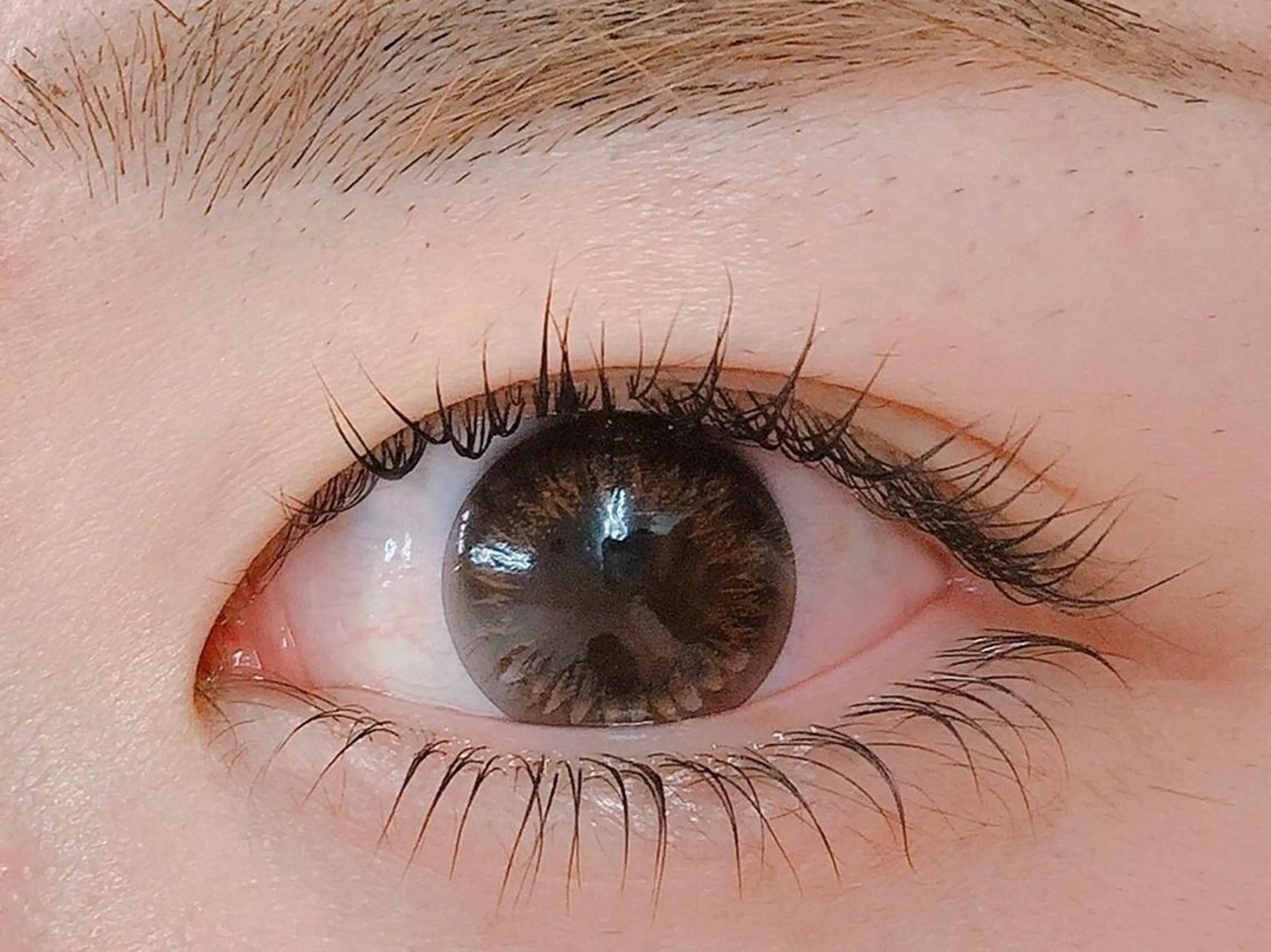 マツエク・マツパ BIONAS 【ビオナス】の眉毛・アイブロウイメージ