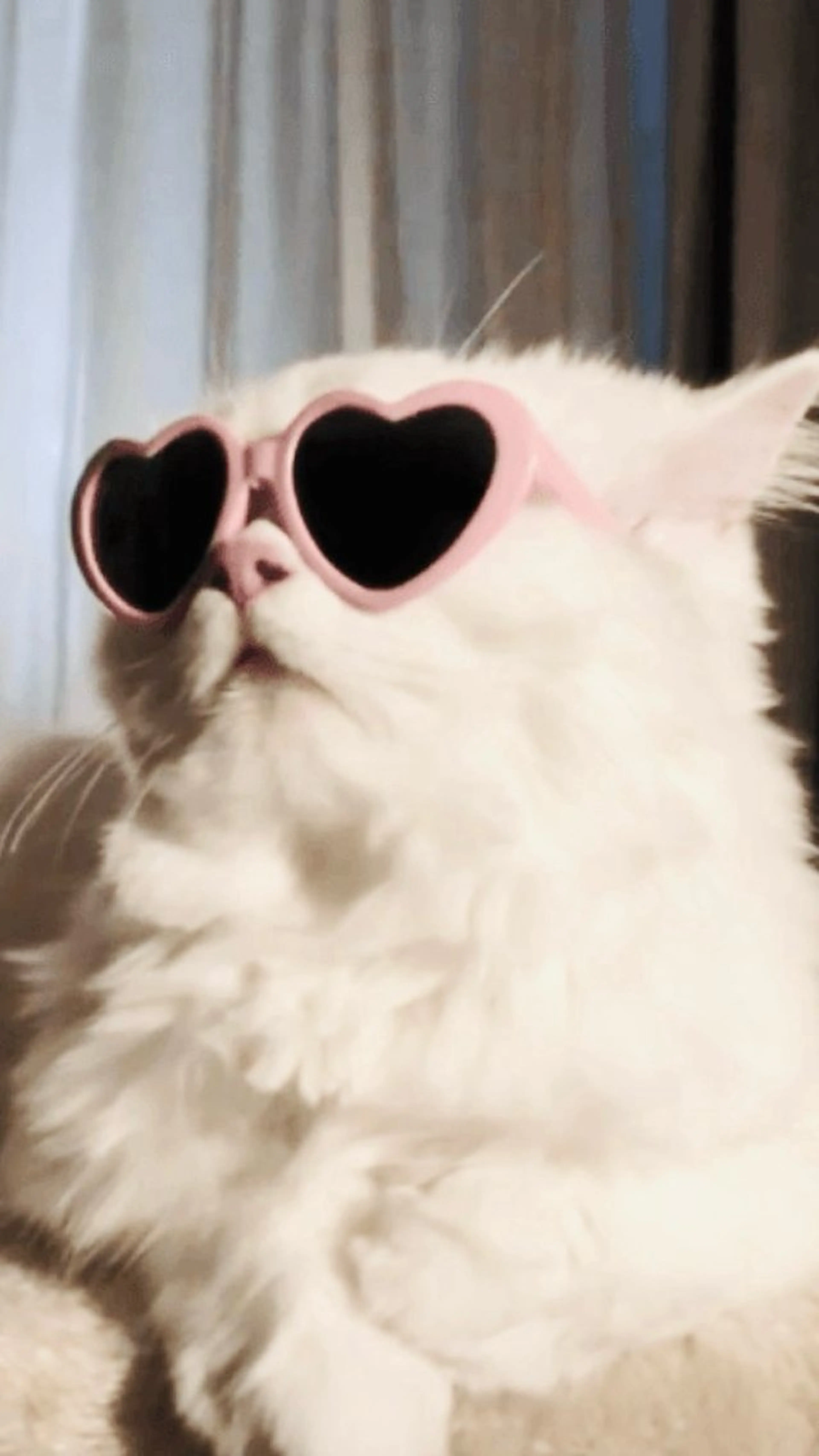 マツエク・マツパ eyelist. mizuki🐈‍⬛の眉毛・アイブロウイメージ