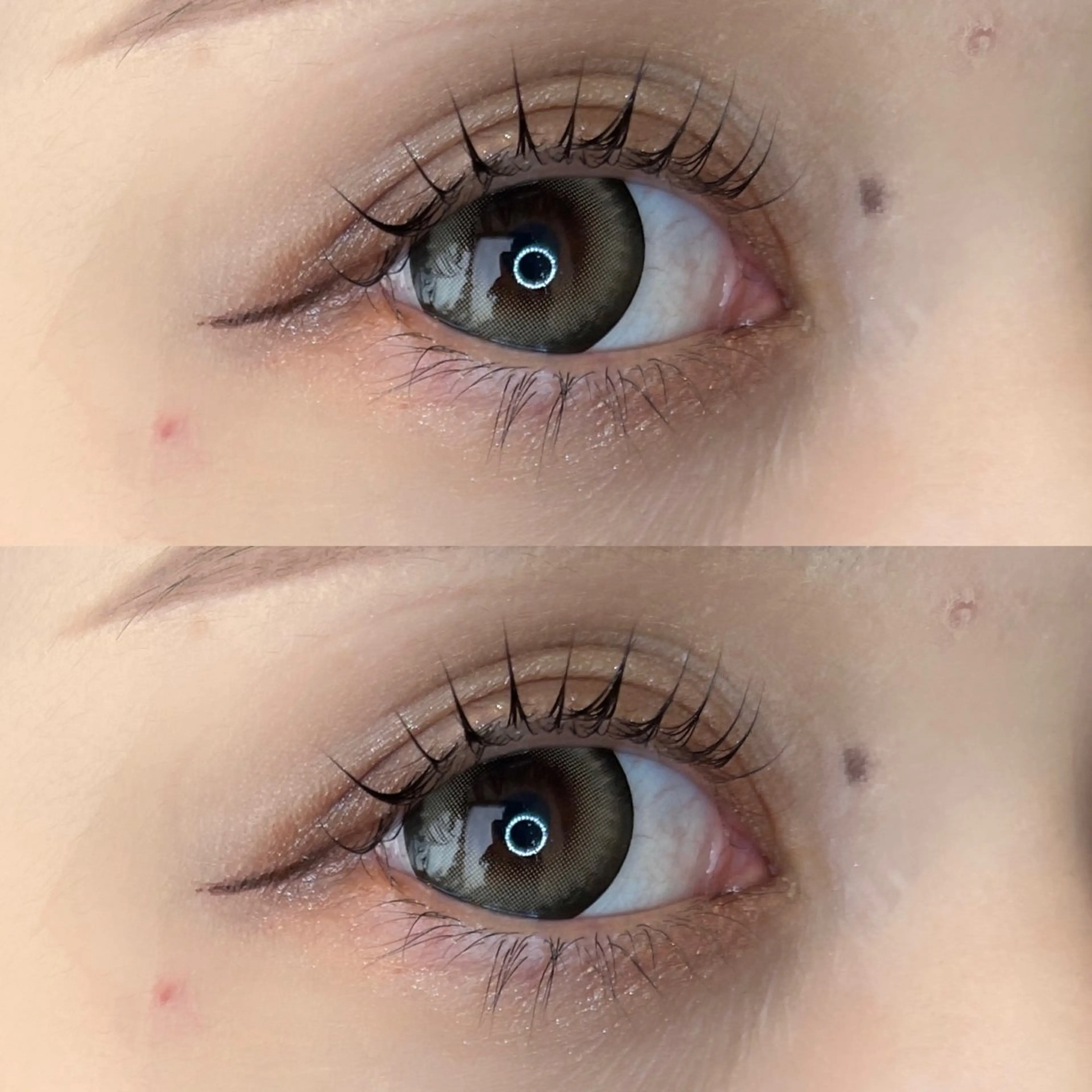 マツエク・マツパ 韓国風マツエク ナチュラル まつげパーマ warme𓂂𓂃 fukaのヘアスタイル