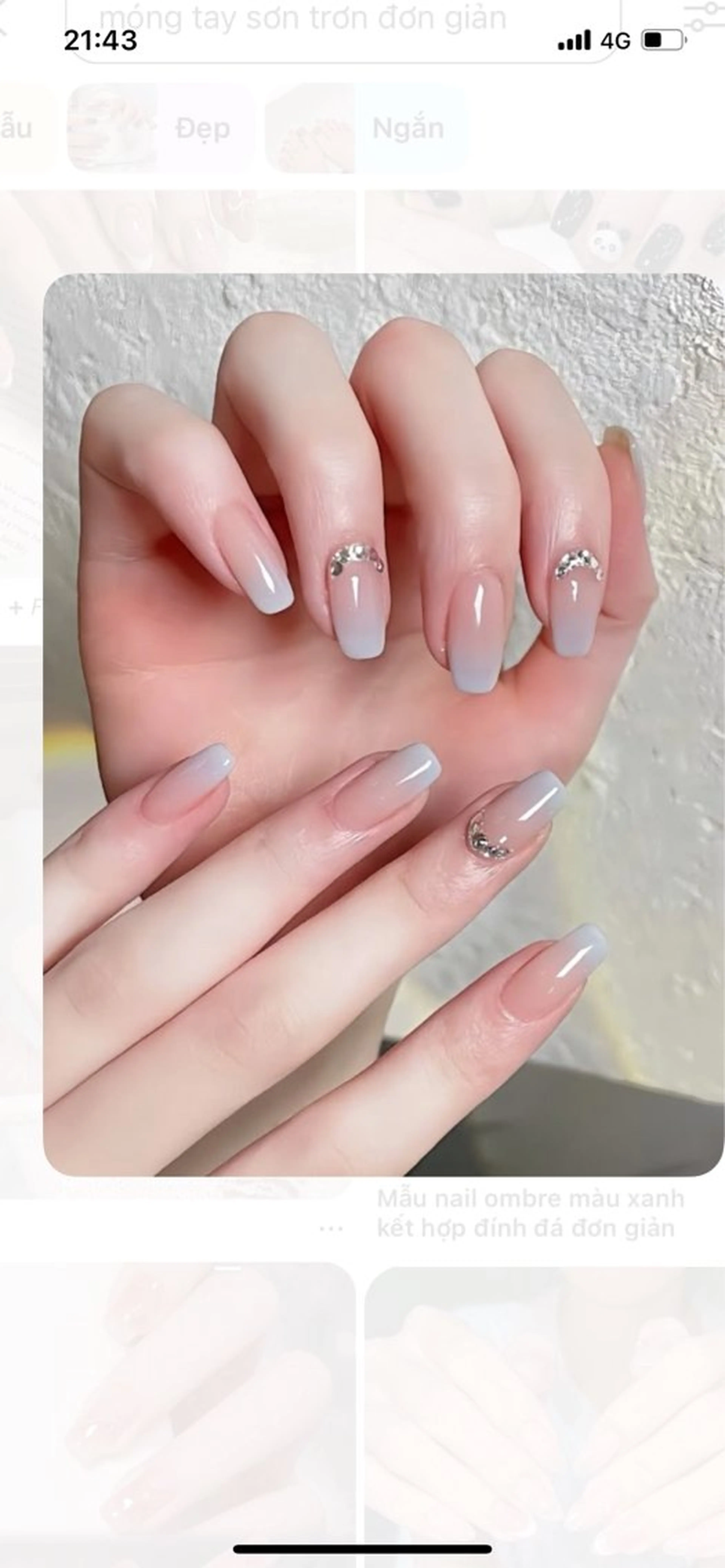 ネイル グラデーション シンプルネイル Lily nails studioのネイルデザイン