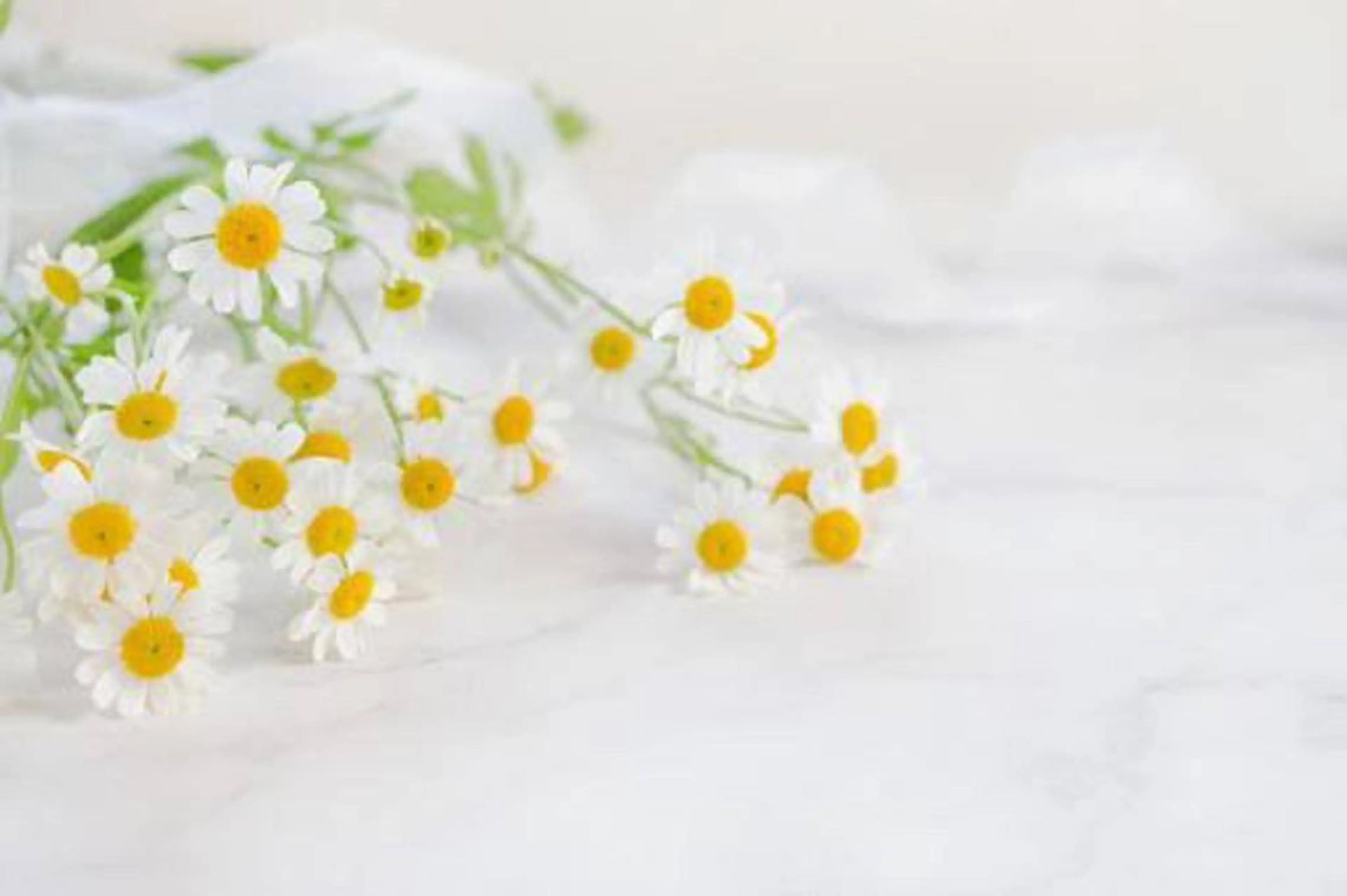 【2回目クーポン❕✨】2回目で効果をより実感したい方🙋‍♀️口コミご記入の方限定で通常より5000円off💗の写真